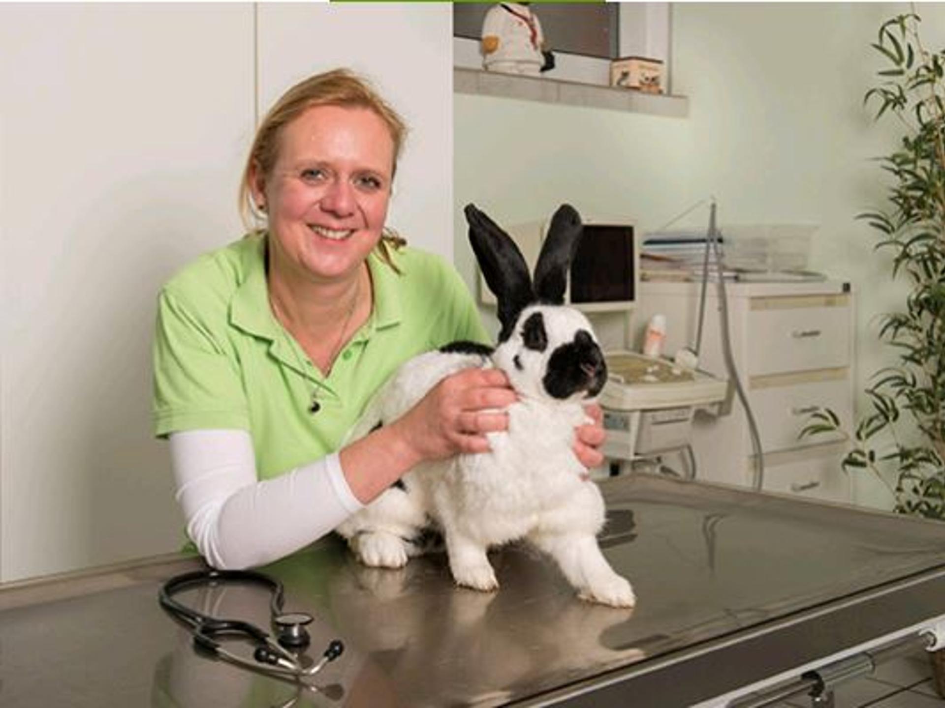 Ansicht 3 von Tierarztpraxis Petra Scheunert