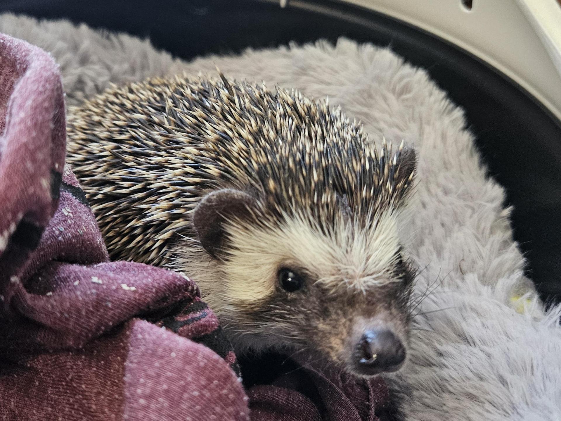 Ansicht 2 von Tierärztin Dr. Elke Tomaschek