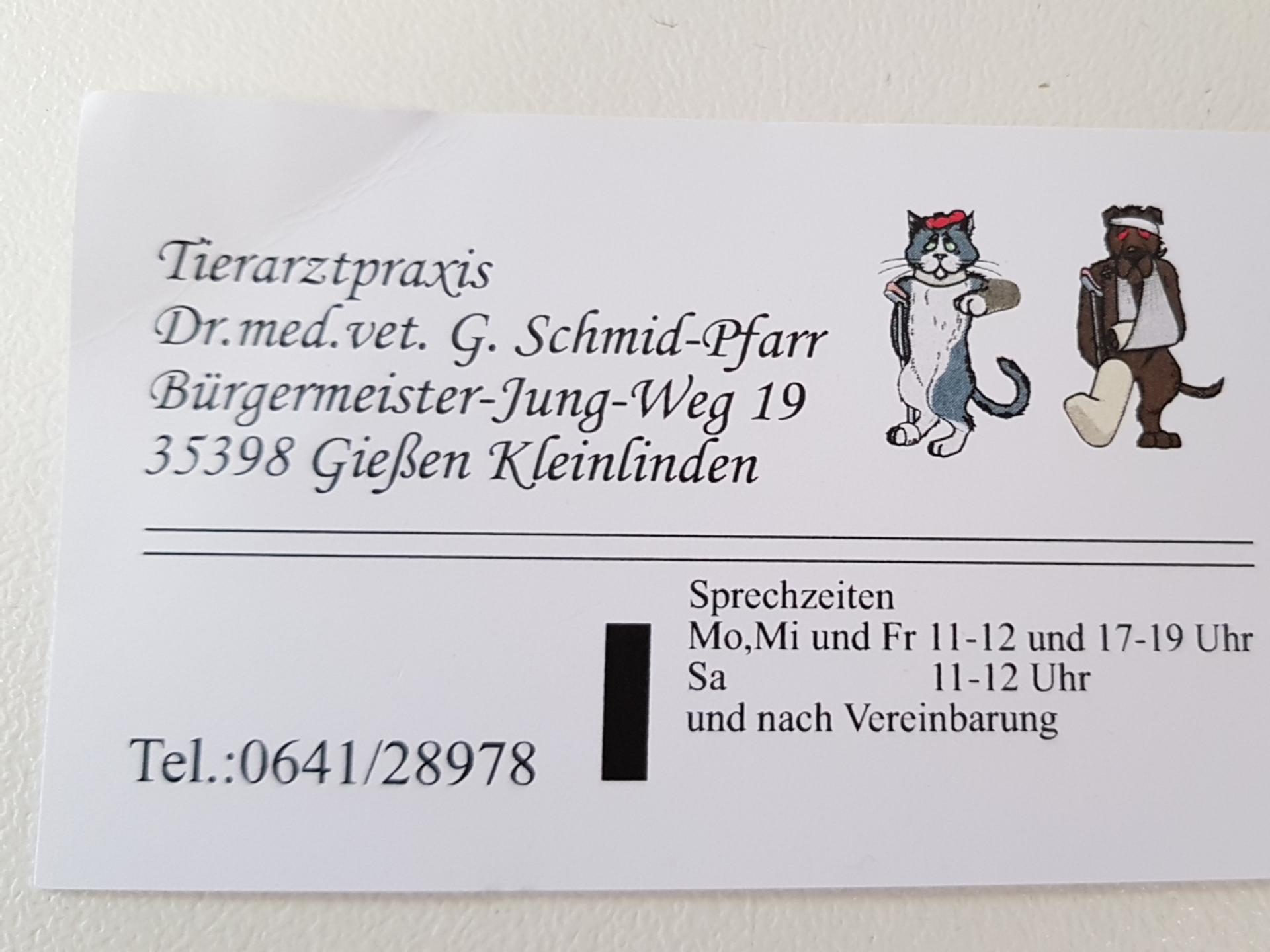 View 4 of Dr Gabriele Schmid-Pfarr Tierärztin