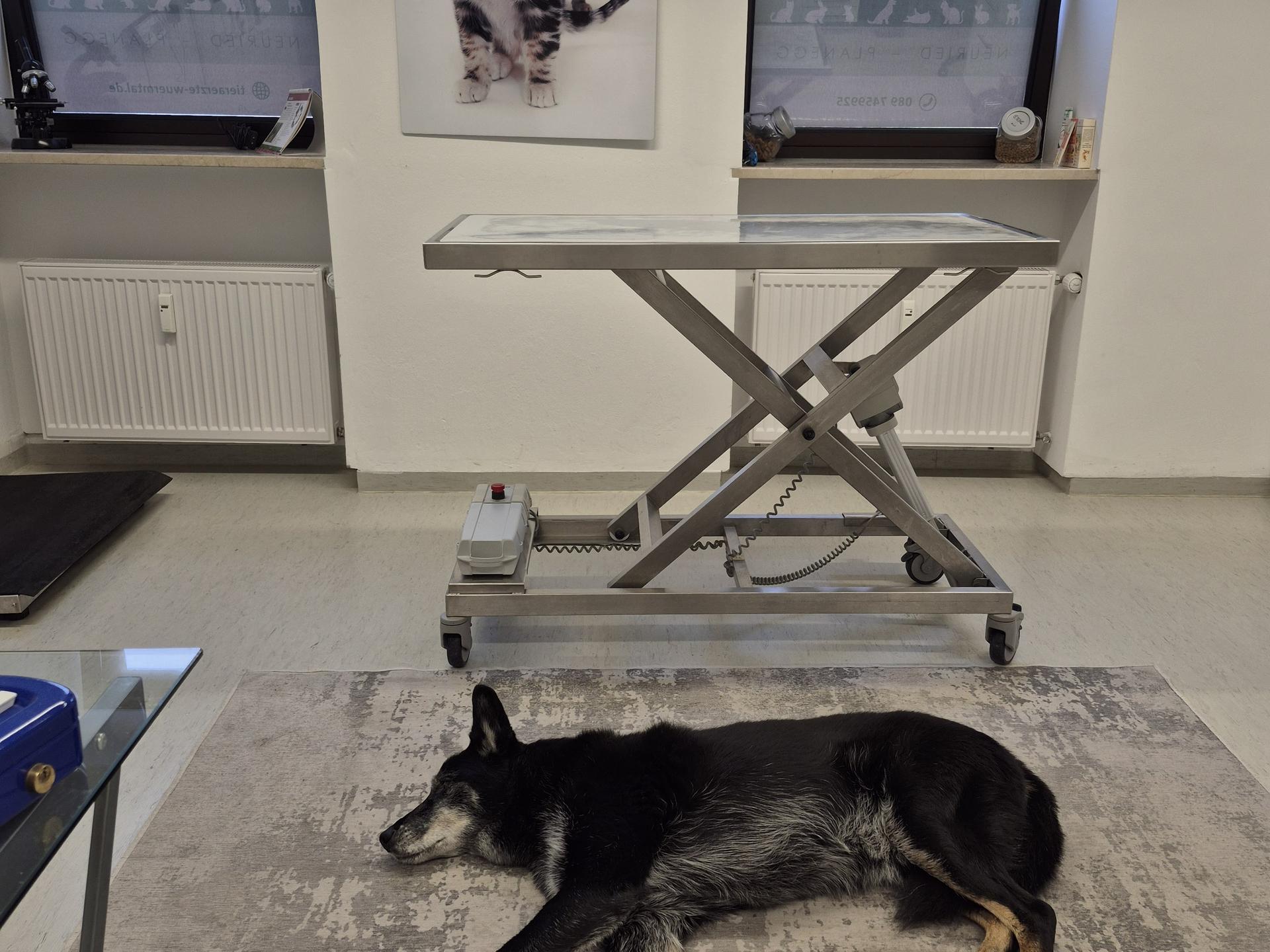 Ansicht 3 von Tierärzte Würmtal