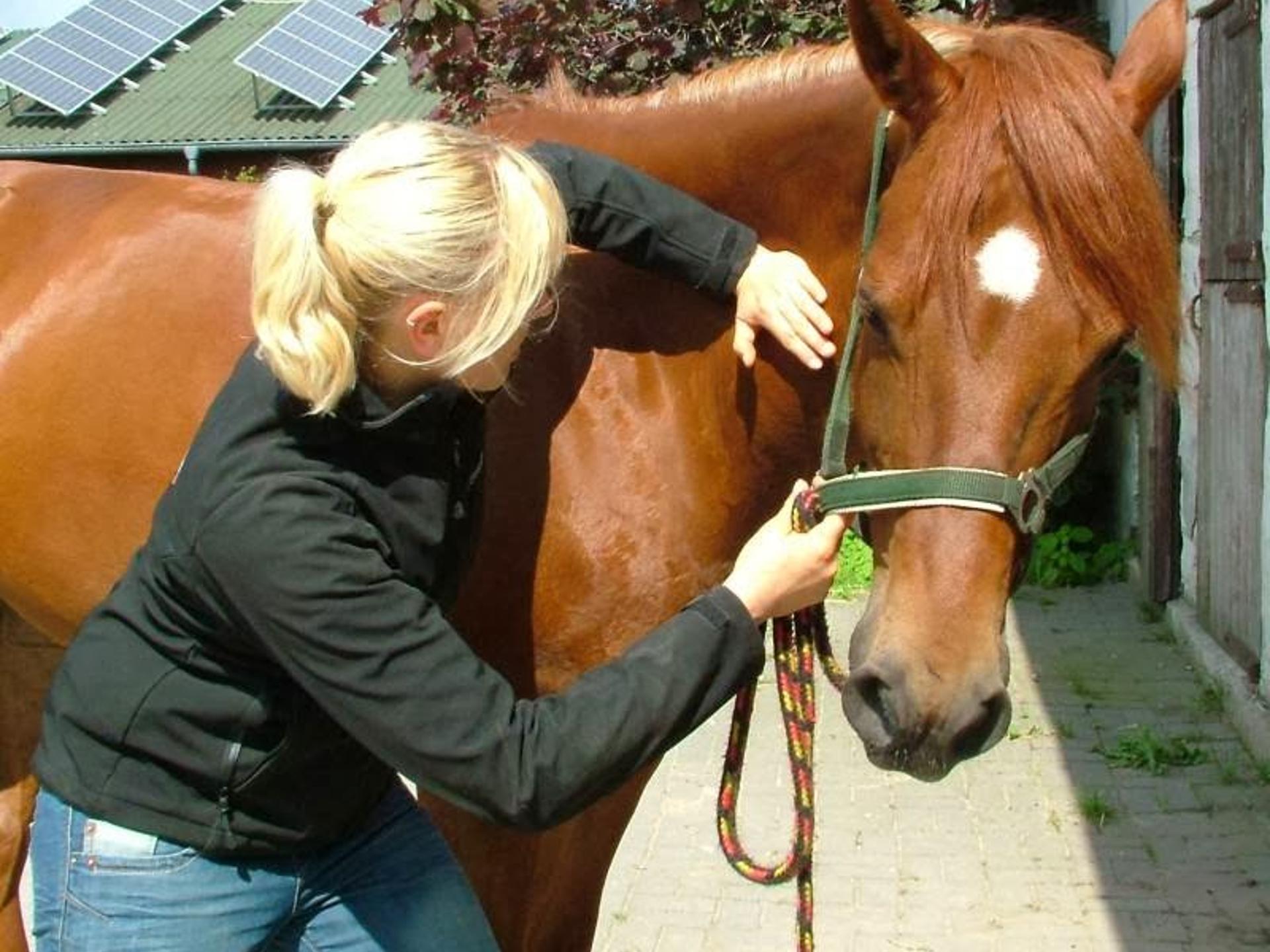 Ansicht 2 von Tierarztpraxis Dr. med. vet. Katharina Grewe
