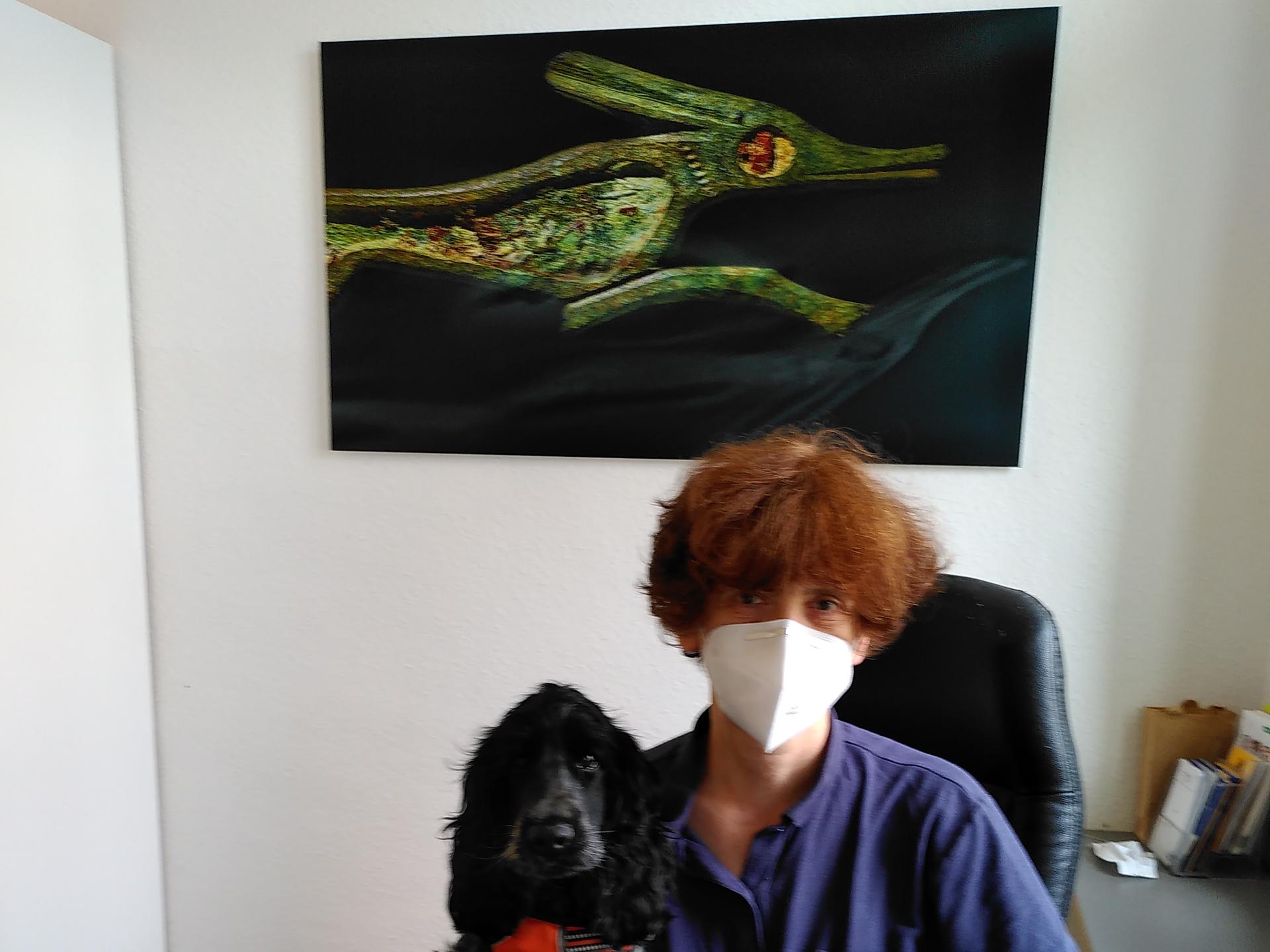 Ansicht 1 von Kleintierpraxis Dr.med.vet. Ulrike Thome