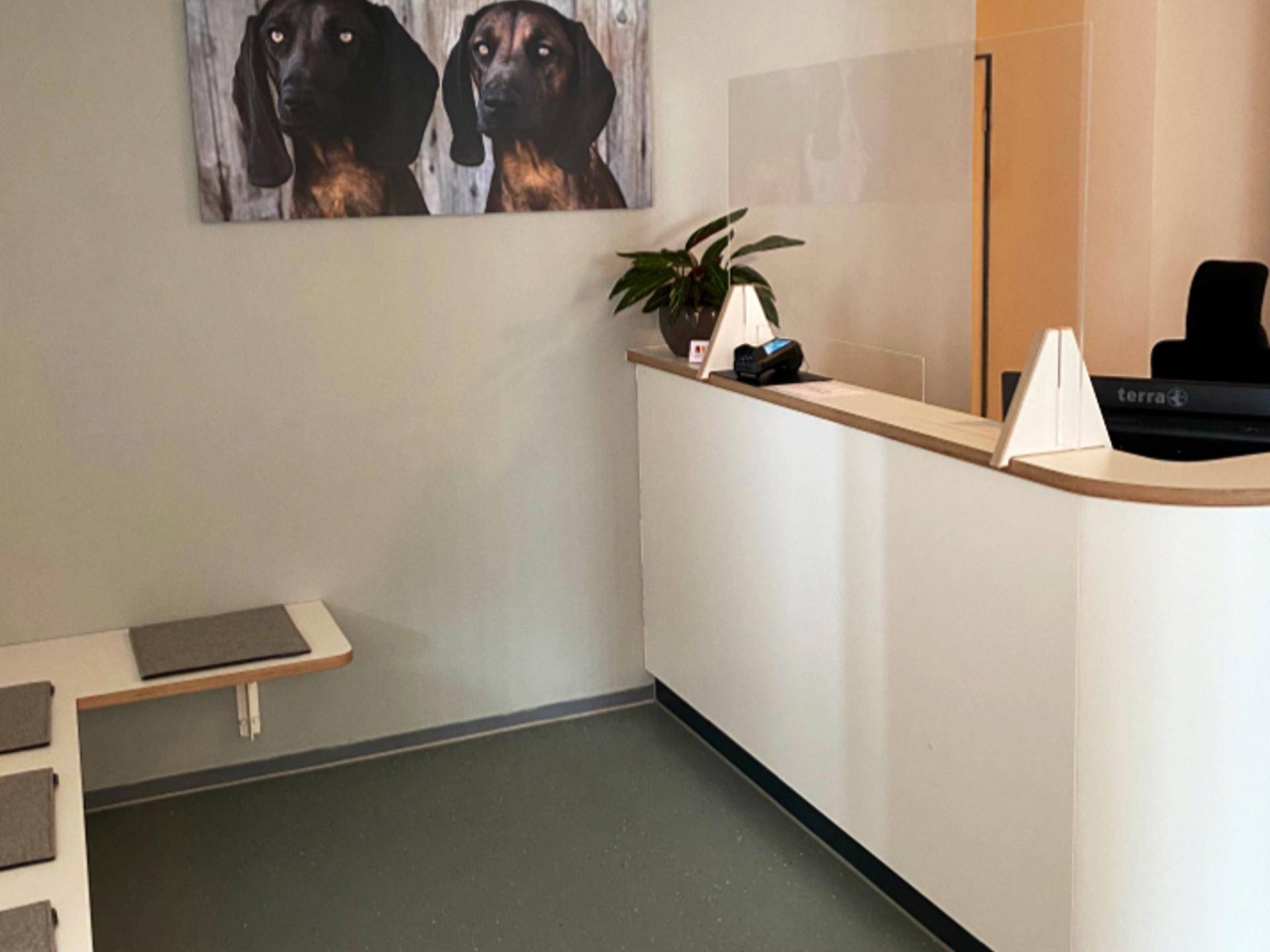 Ansicht 1 von Dr.med.vet. Birkenmaier