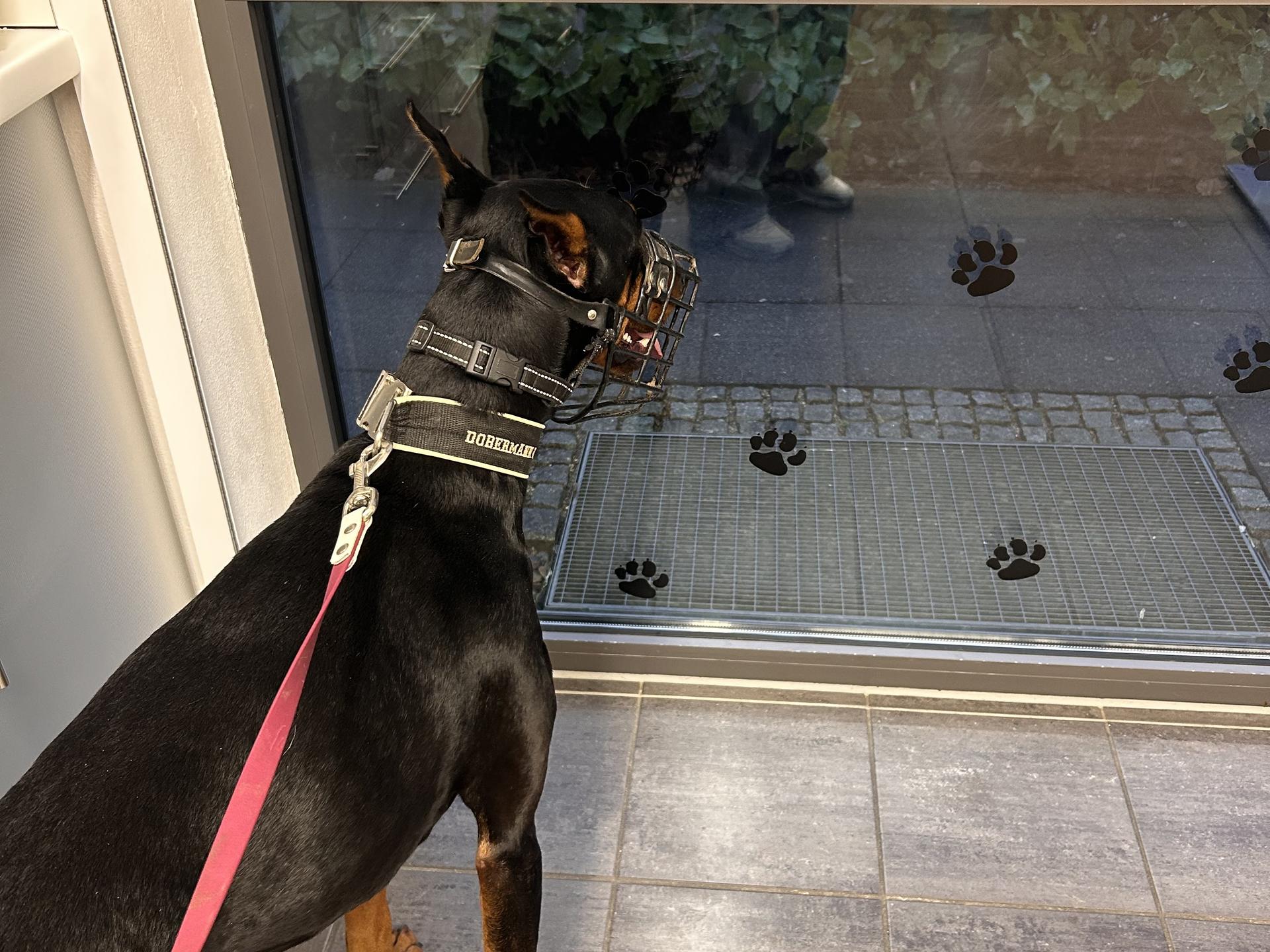 Ansicht 2 von Tierärzte Pfaffenhausen