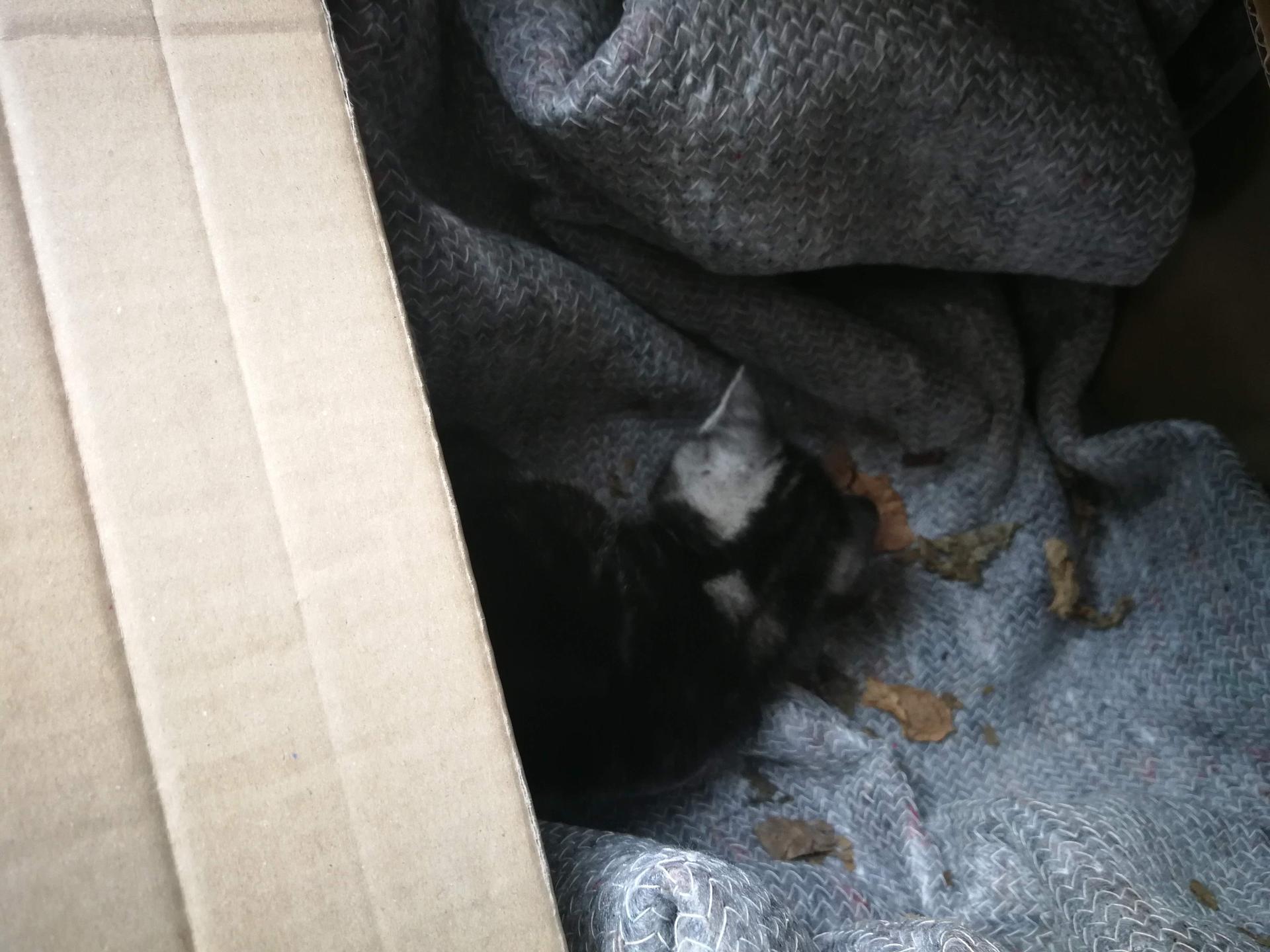 Ansicht 3 von Tierärzte Pfaffenhausen