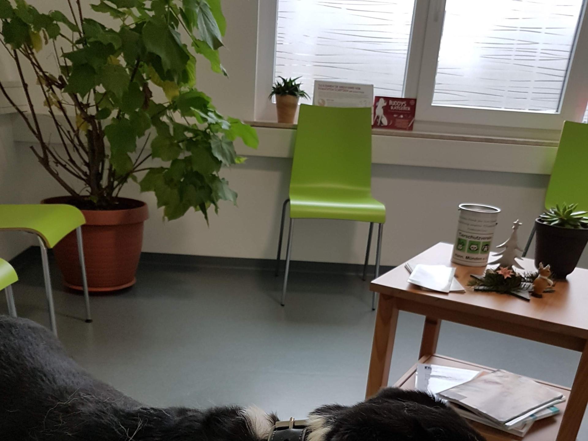Ansicht 3 von Tierärztliche Gemeinschaftspraxis Dr. Benninger & Lucht
