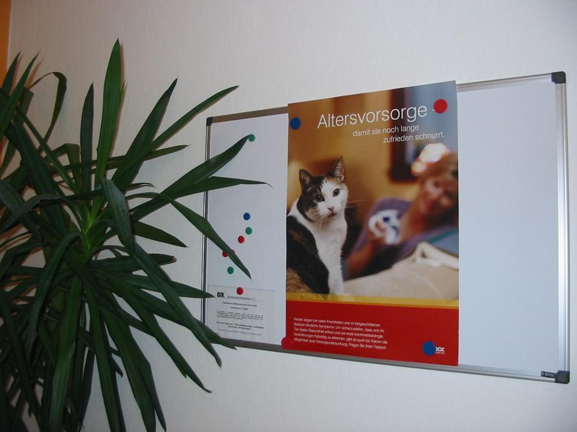 Ansicht 3 von Tierarztpraxis Dr. Kristine Hucke