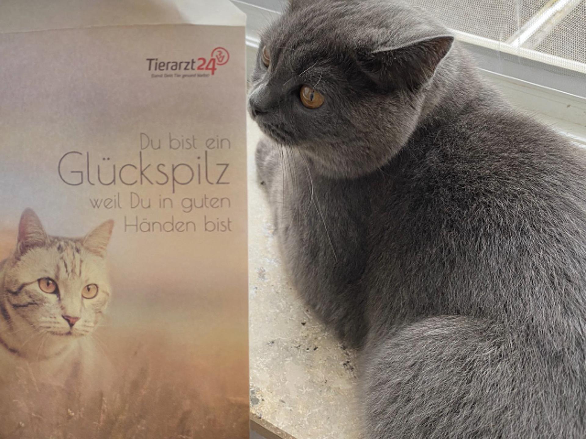 Ansicht 3 von Dr. med.vet. Andrea Sibiller