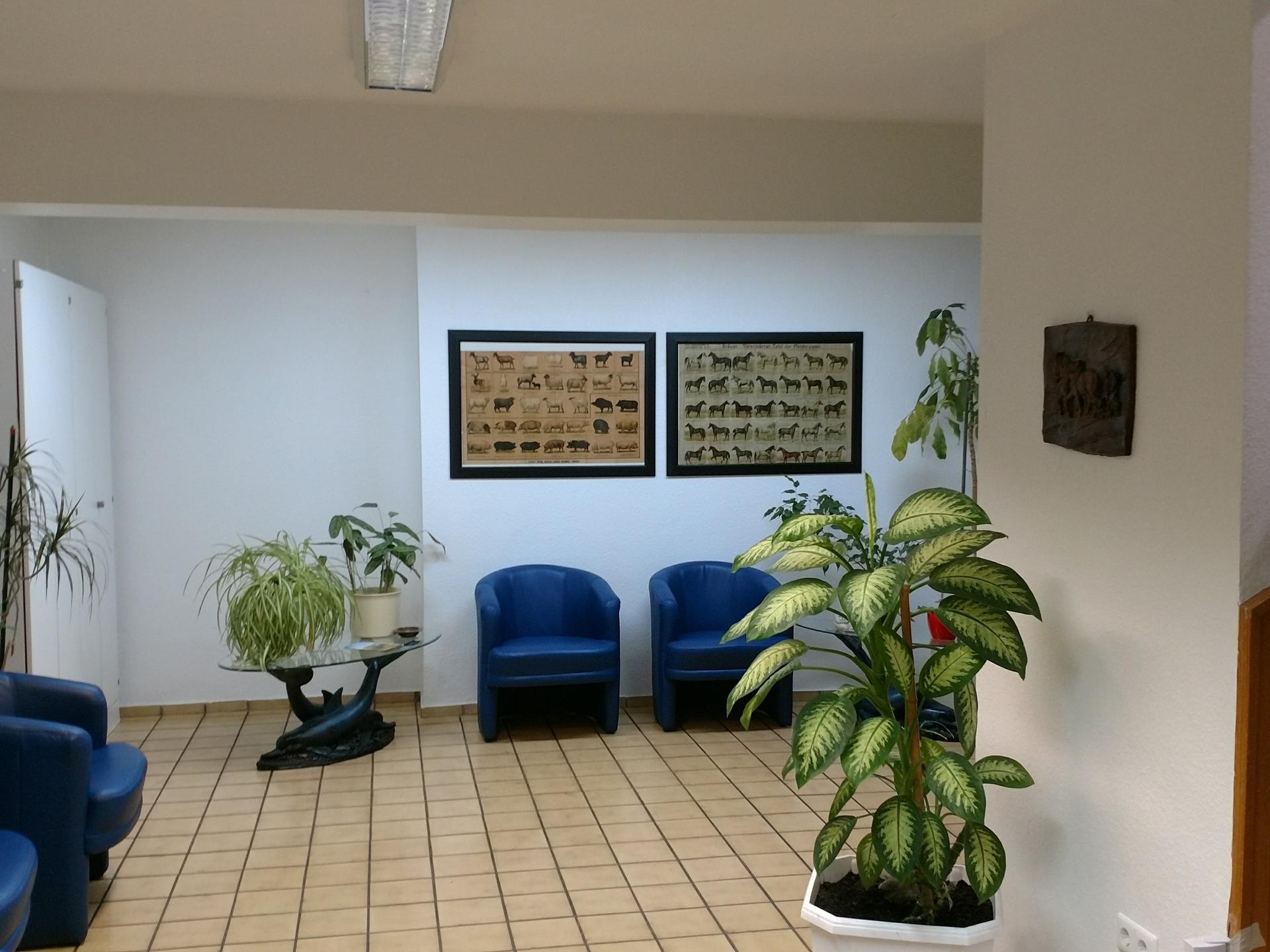View 4 of Dr.med.vet. Bärbel Küsters Tierärztin