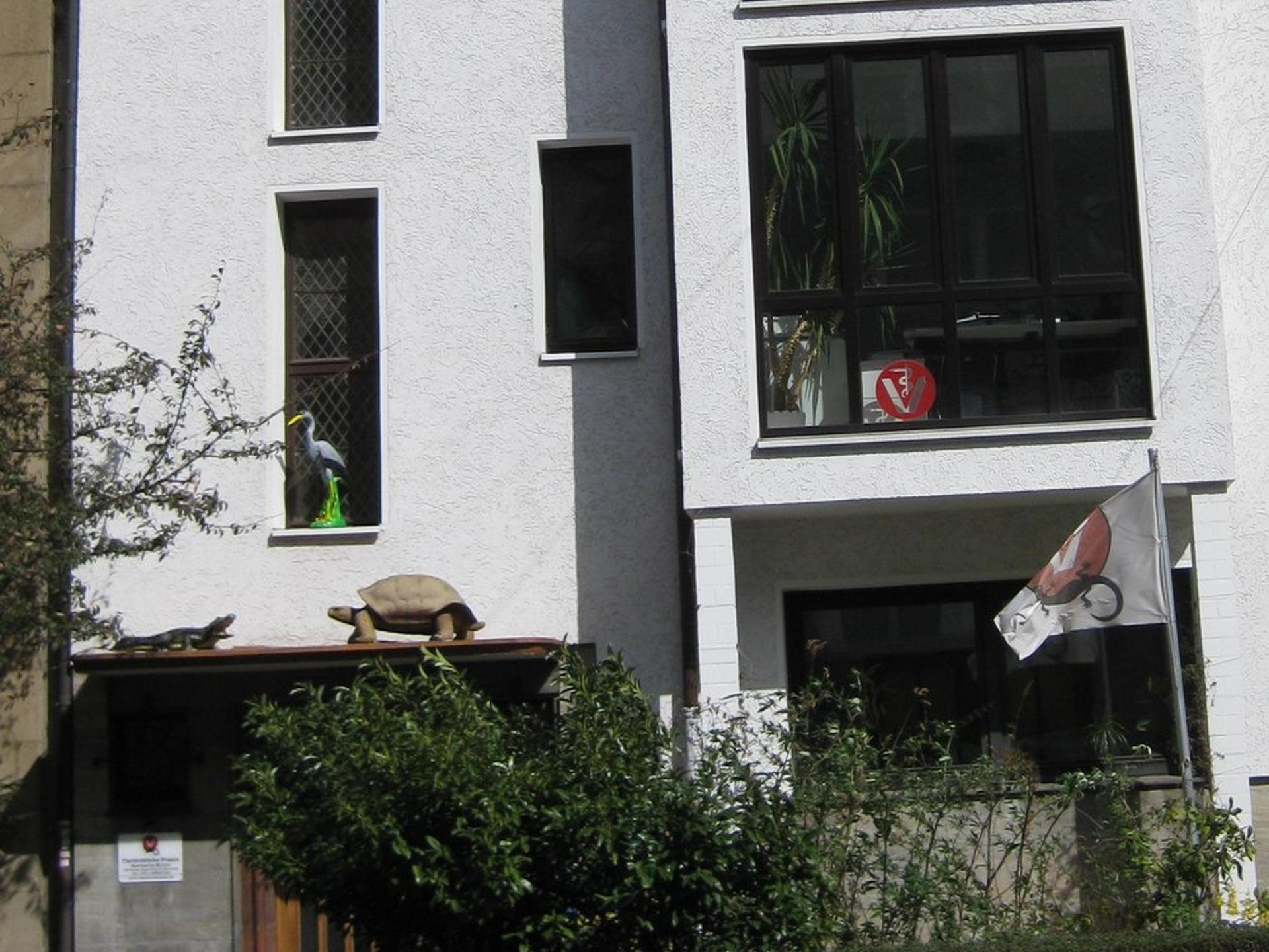 Ansicht 2 von Reptilientierarzt Kornelis Biron