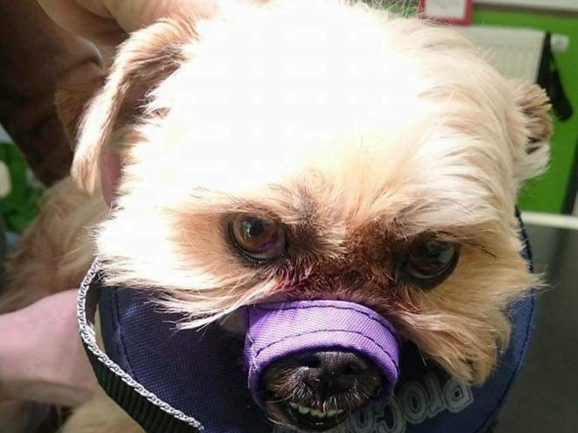 View 2 of Dipl. vet. med.Christine Langner Tierärztin