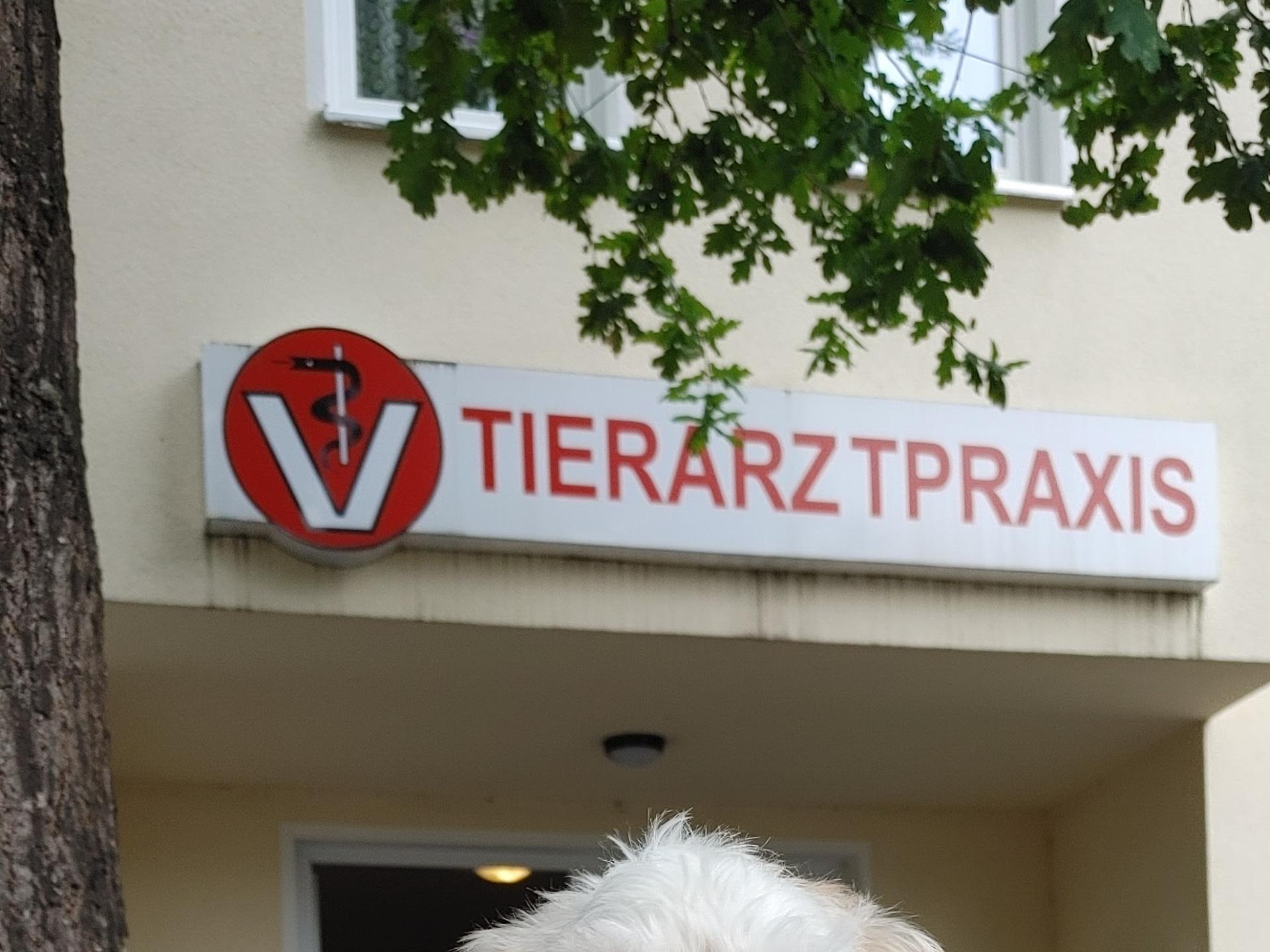 Ansicht 1 von Tierarztpraxis Guddat