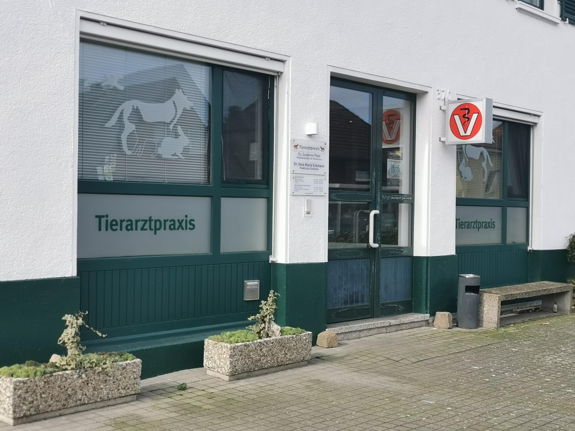 Ansicht 1 von Tierärztliche Gemeinschaftspraxis Dres. Pape und Eckmann