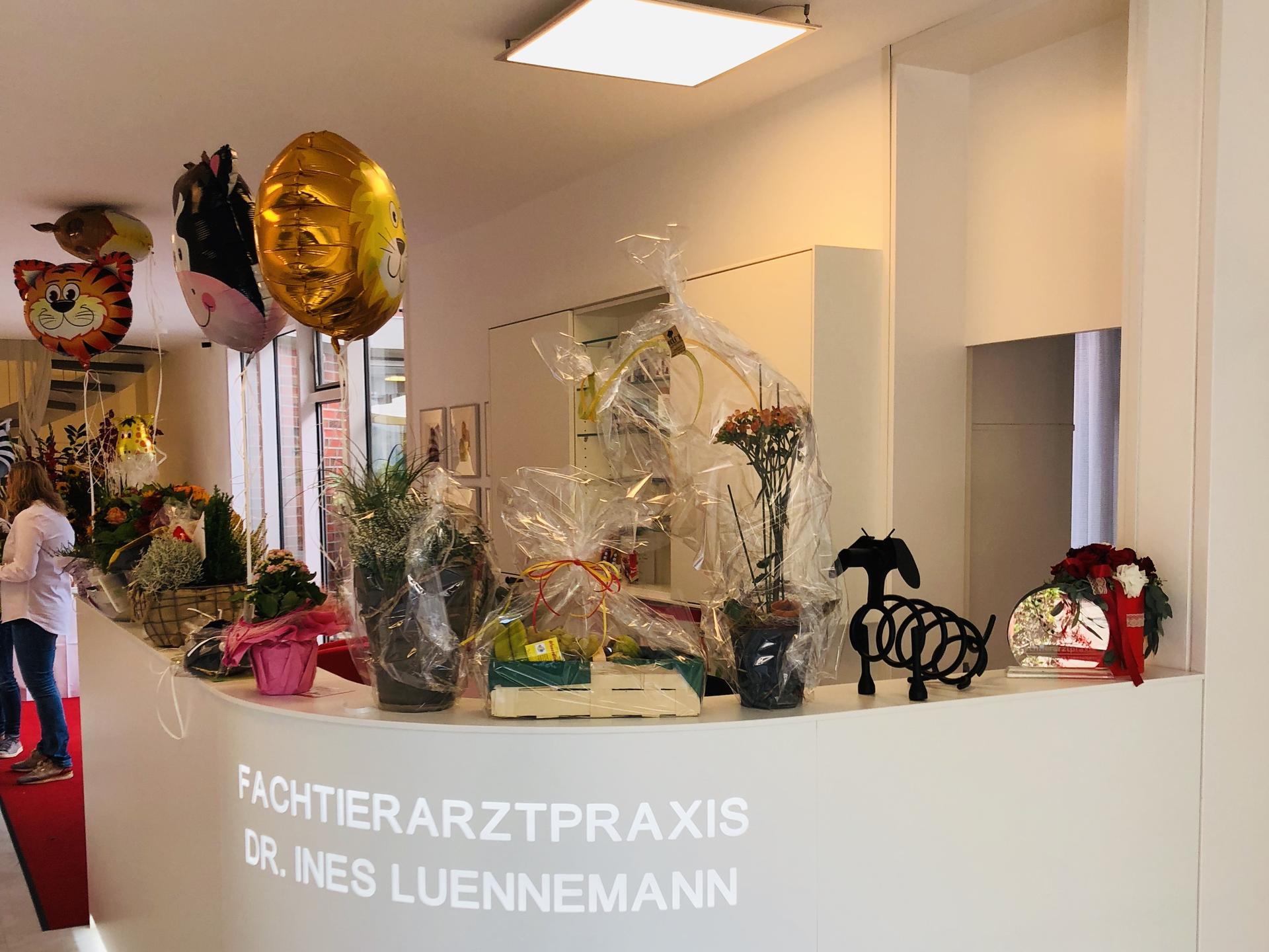 Ansicht 2 von Fachtierarztpraxis Dr. (Uni Zagreb) Ines Luennemann