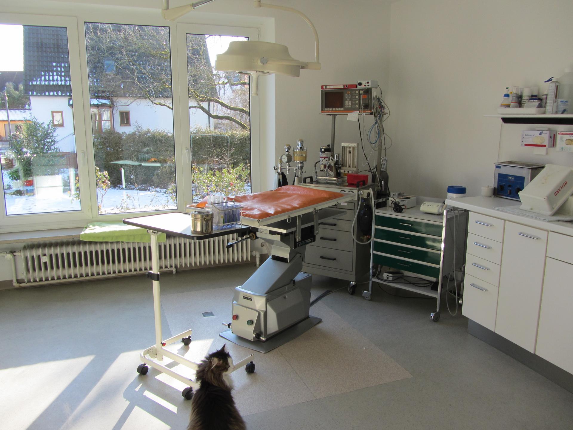 Ansicht 2 von Dr. med. vet. Silke Beckmann prakt. Tierärztin