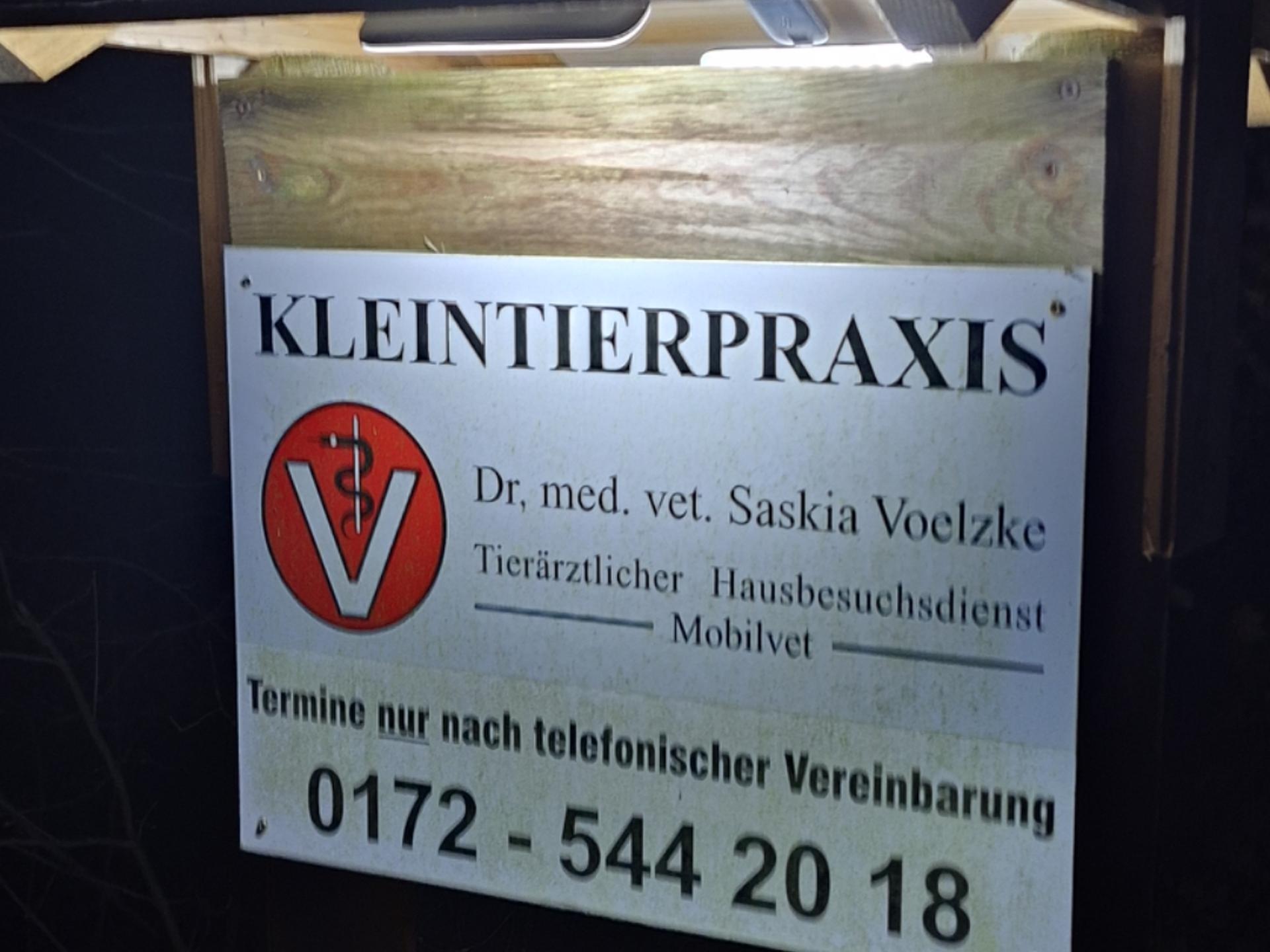 Ansicht 2 von Dr. Saskia Voelzke