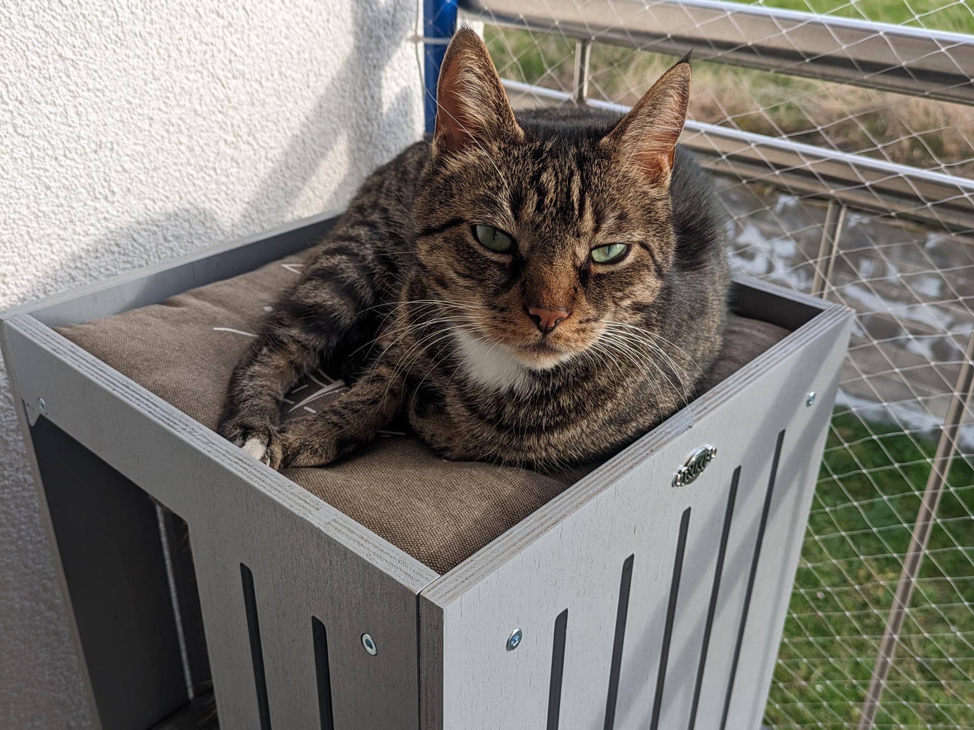 Ansicht 1 von Dr. med. vet. Annette Hengst