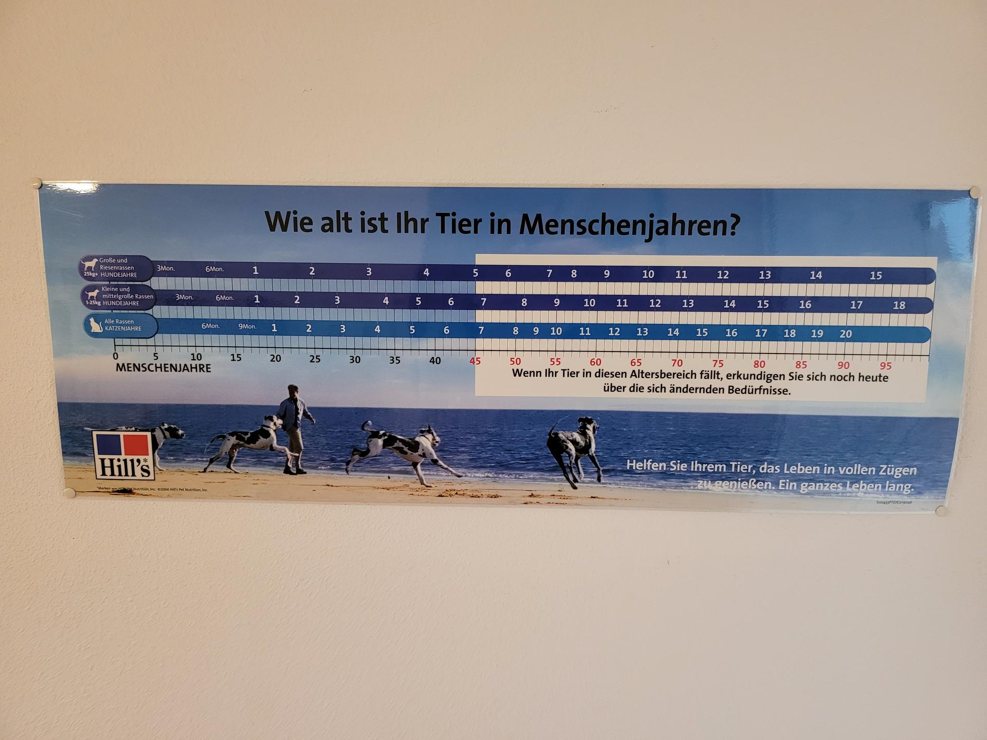 Ansicht 1 von Funk Karolina