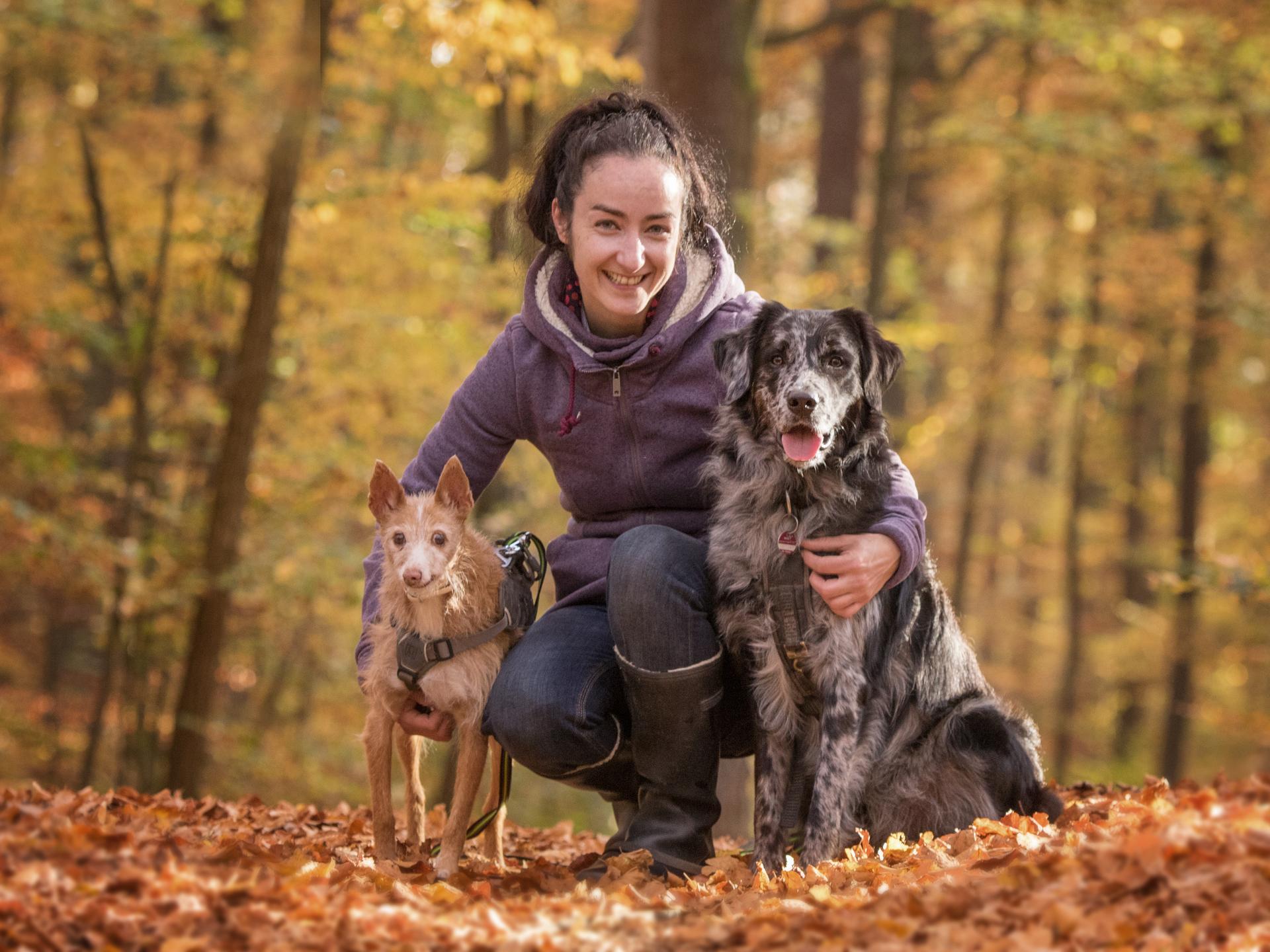 Ansicht 1 von Kleintierpraxis Schnaittenbach - Tierarztpraxis - Tierärztin Nicole Martin