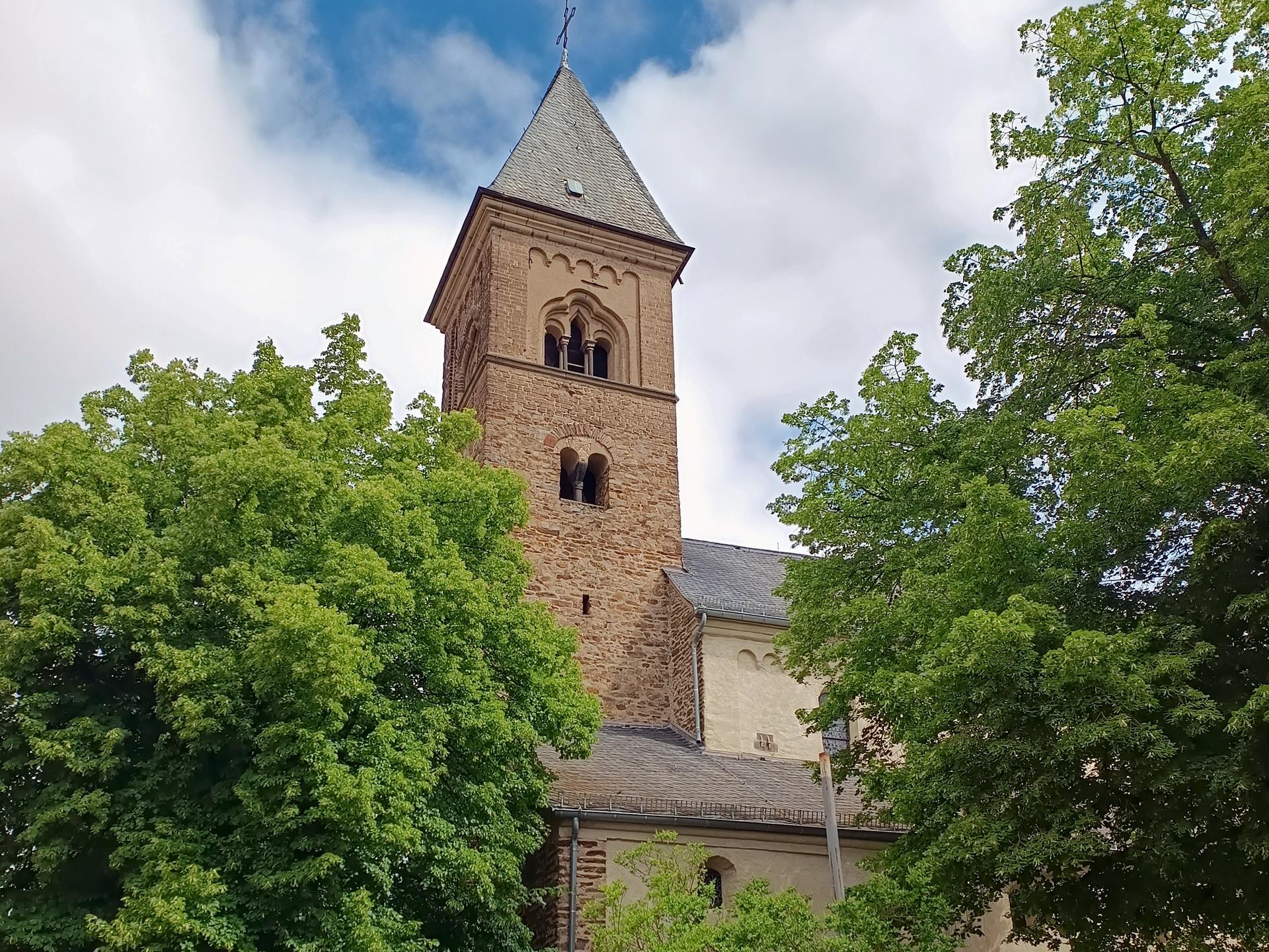 Ansicht 3 von Tierarztpraxis Waltraud Nüßlein