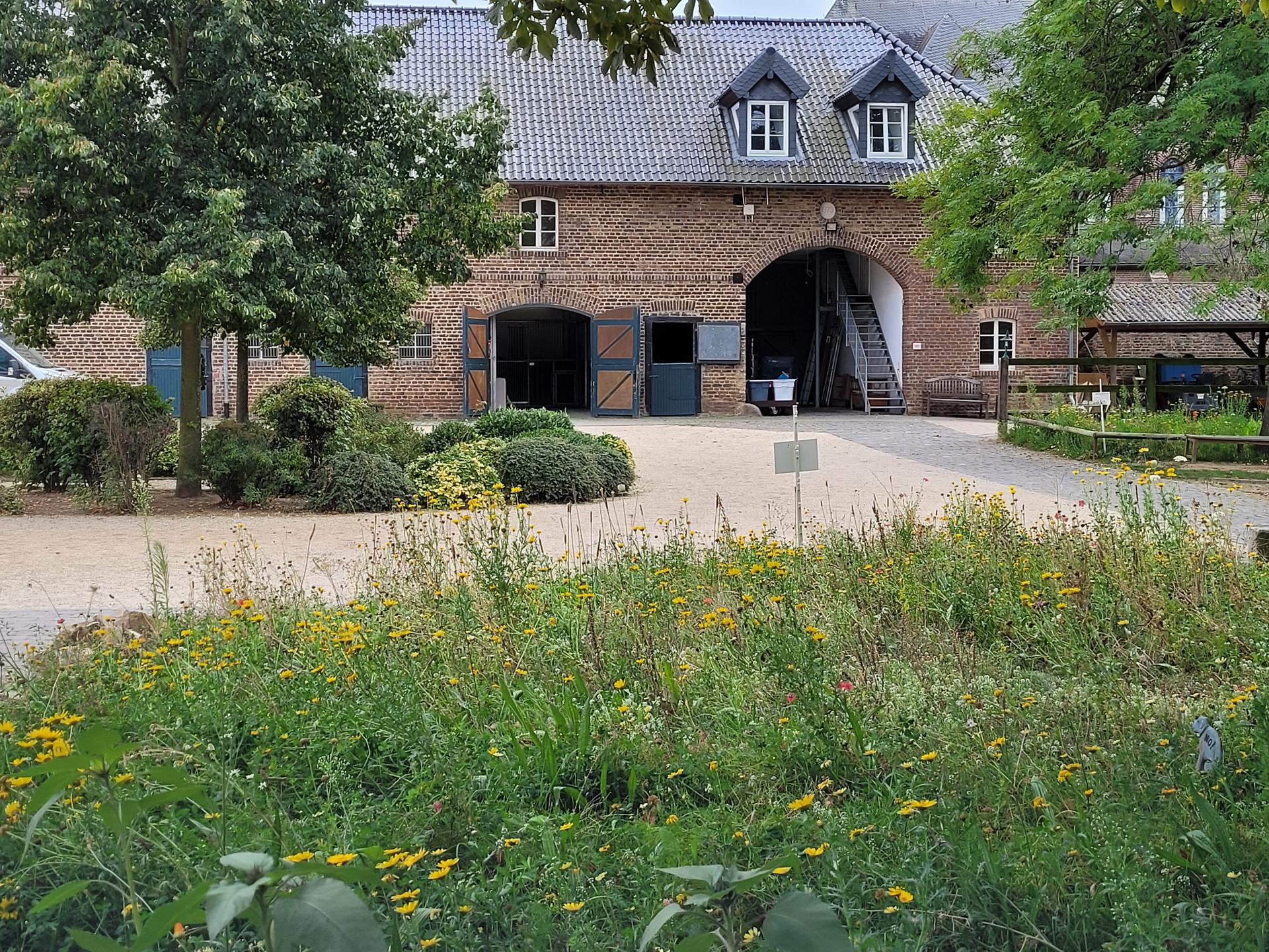 Ansicht 1 von Pferdeklinik Burg Müggenhausen GmbH