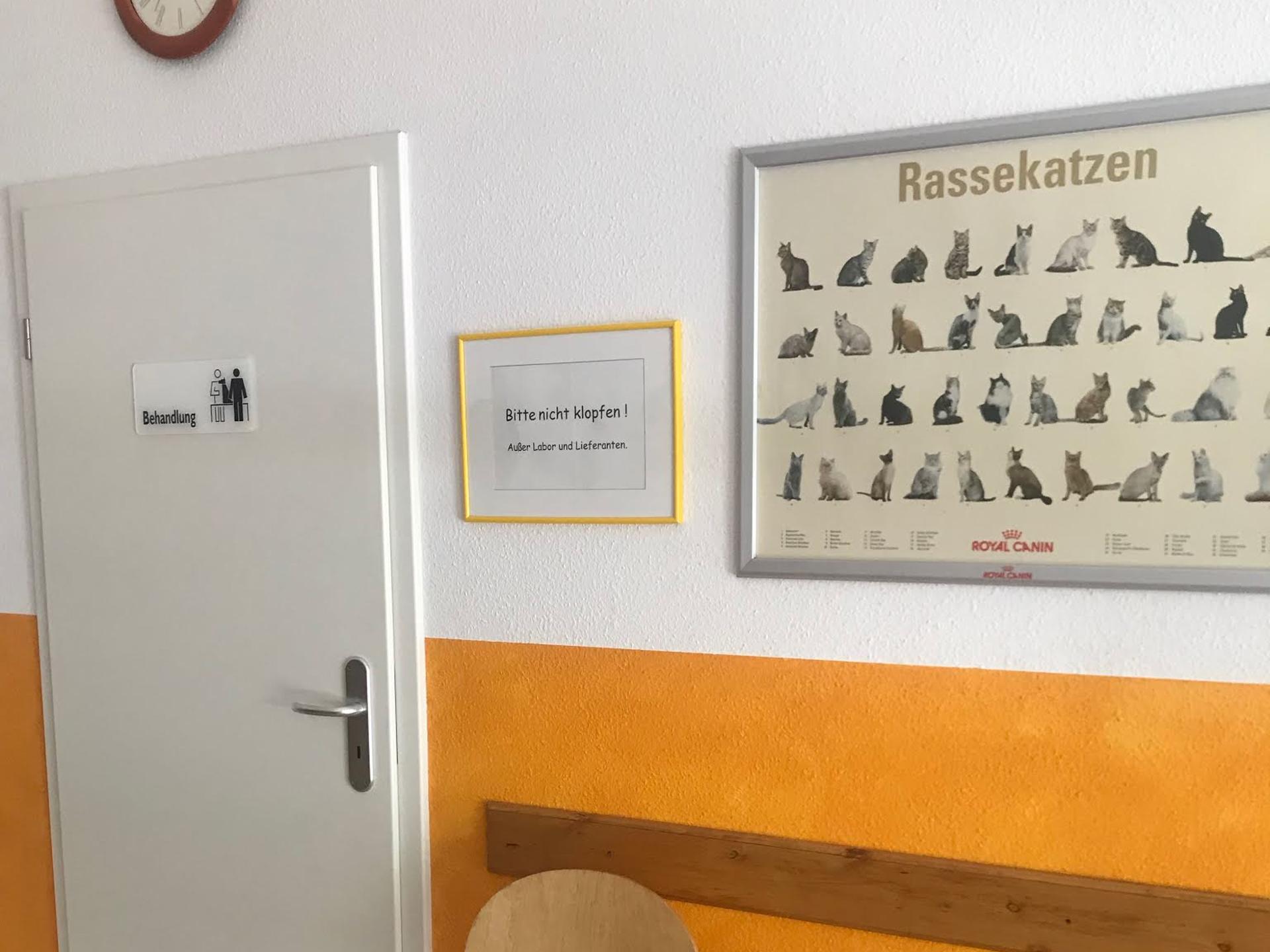 Ansicht 5 von Tierarztpraxis am Wasserturm