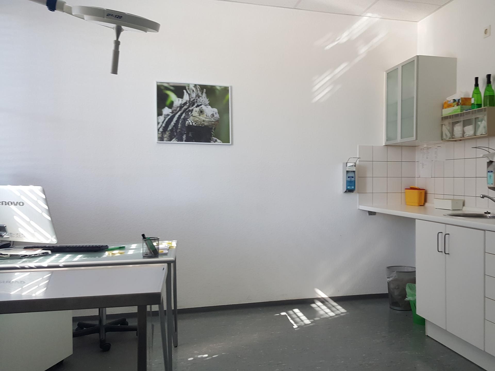 Ansicht 1 von Vogel- und Reptilienpraxis Dr. Britsch