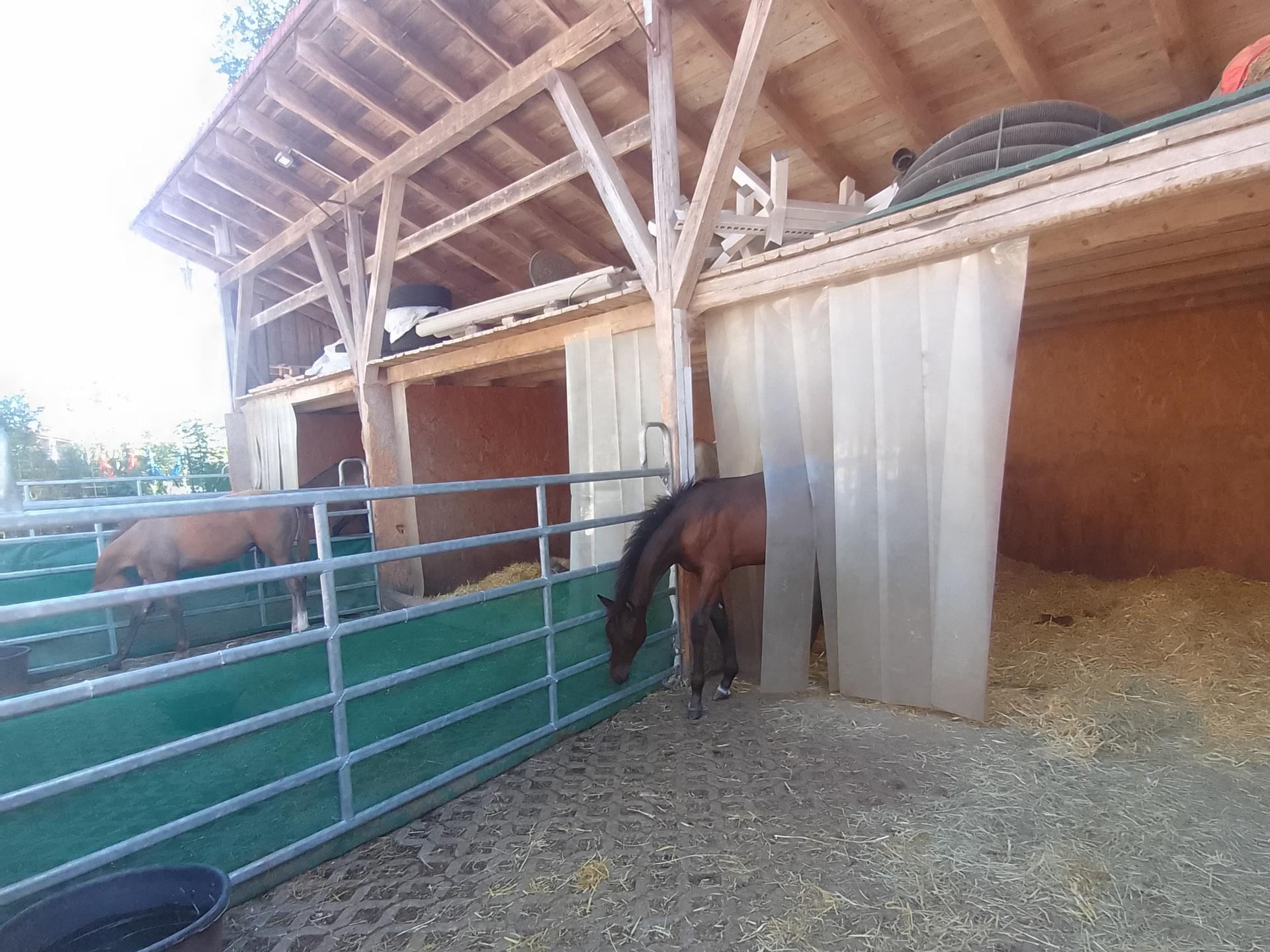 Ansicht 1 von Tierärztliche Ambulanz Rattenhuber