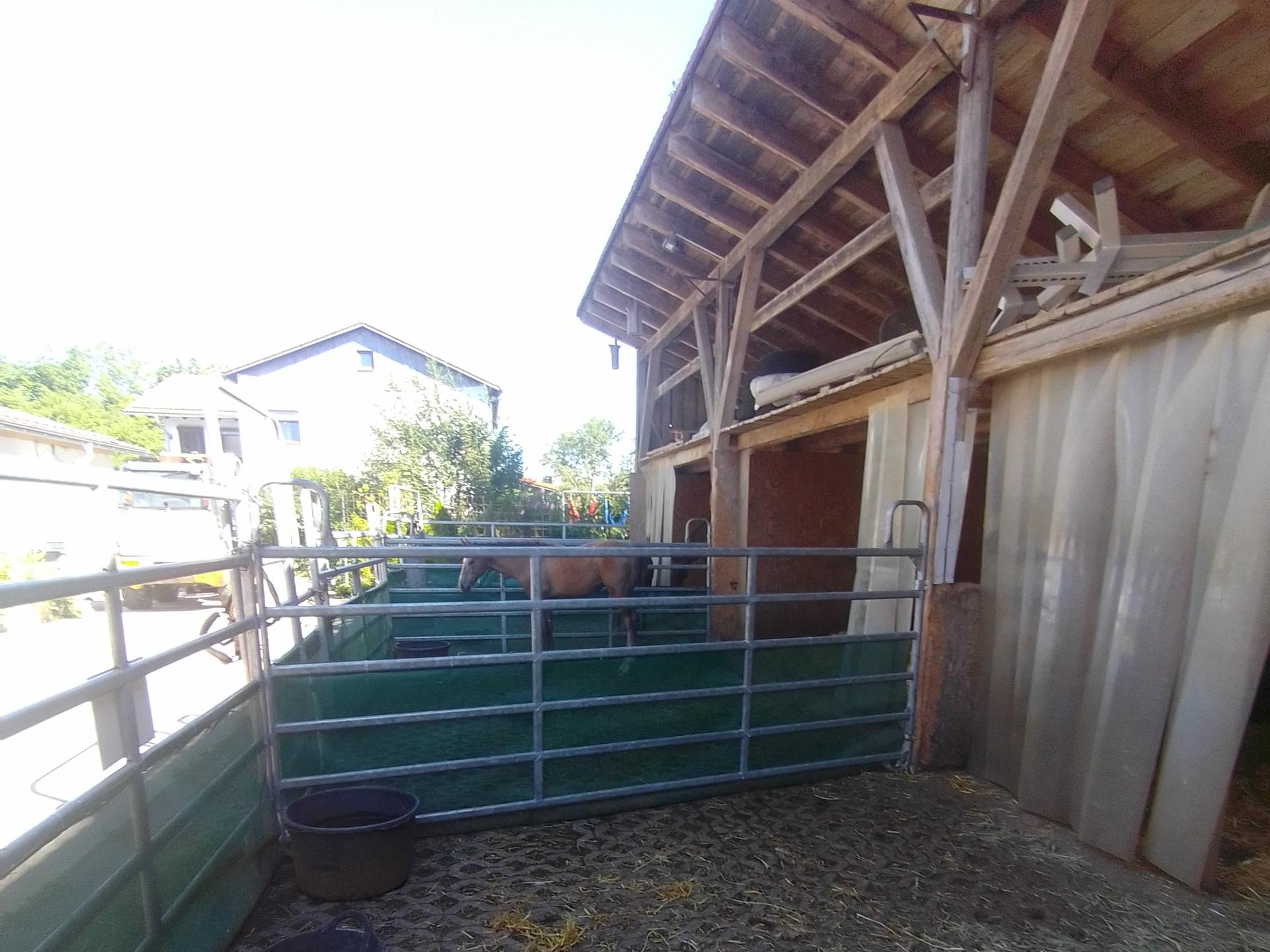 Ansicht 3 von Tierärztliche Ambulanz Rattenhuber