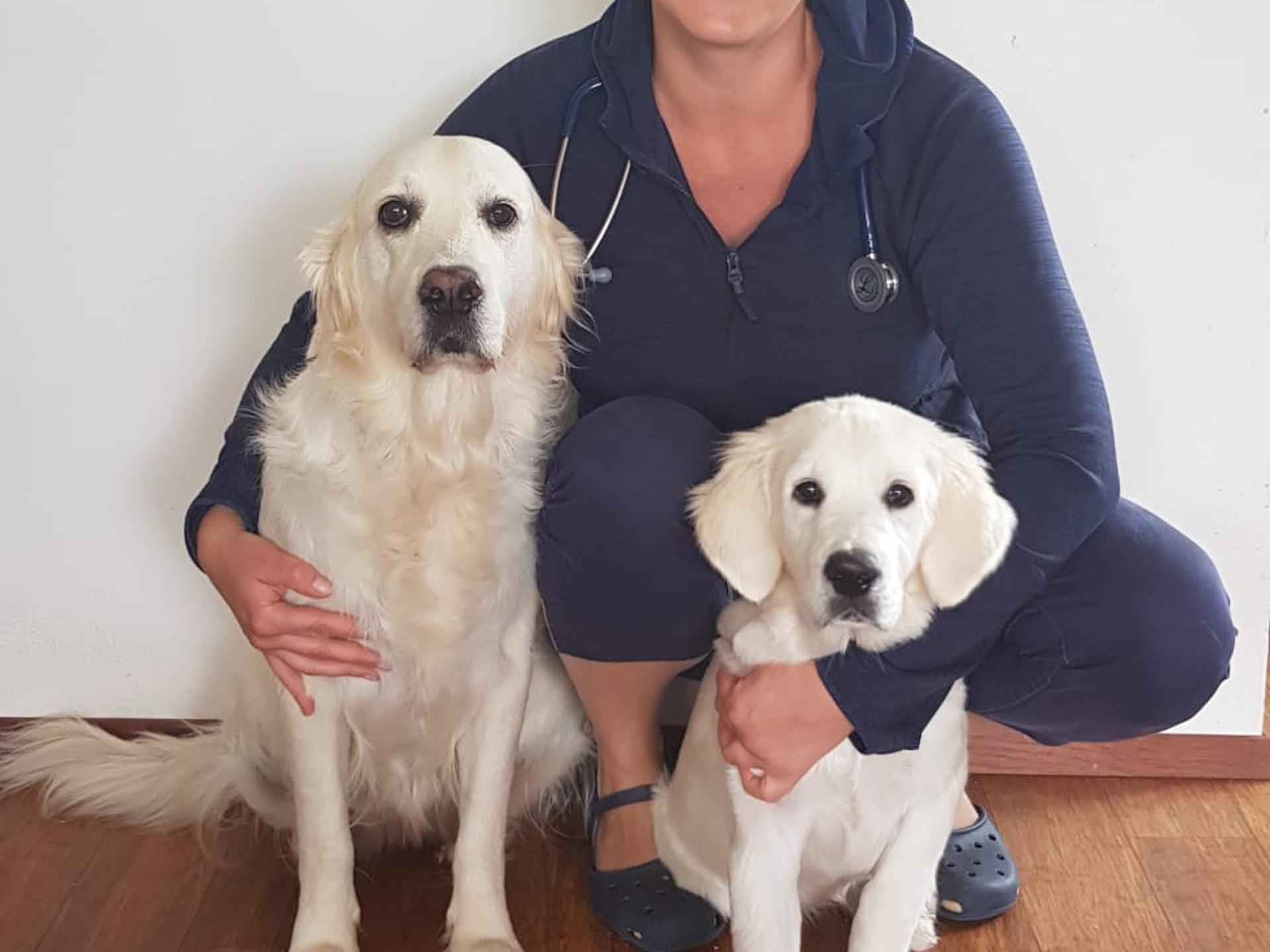 Ansicht 3 von Tierarztpraxis Dr. med. vet. Antje Hoeksma
