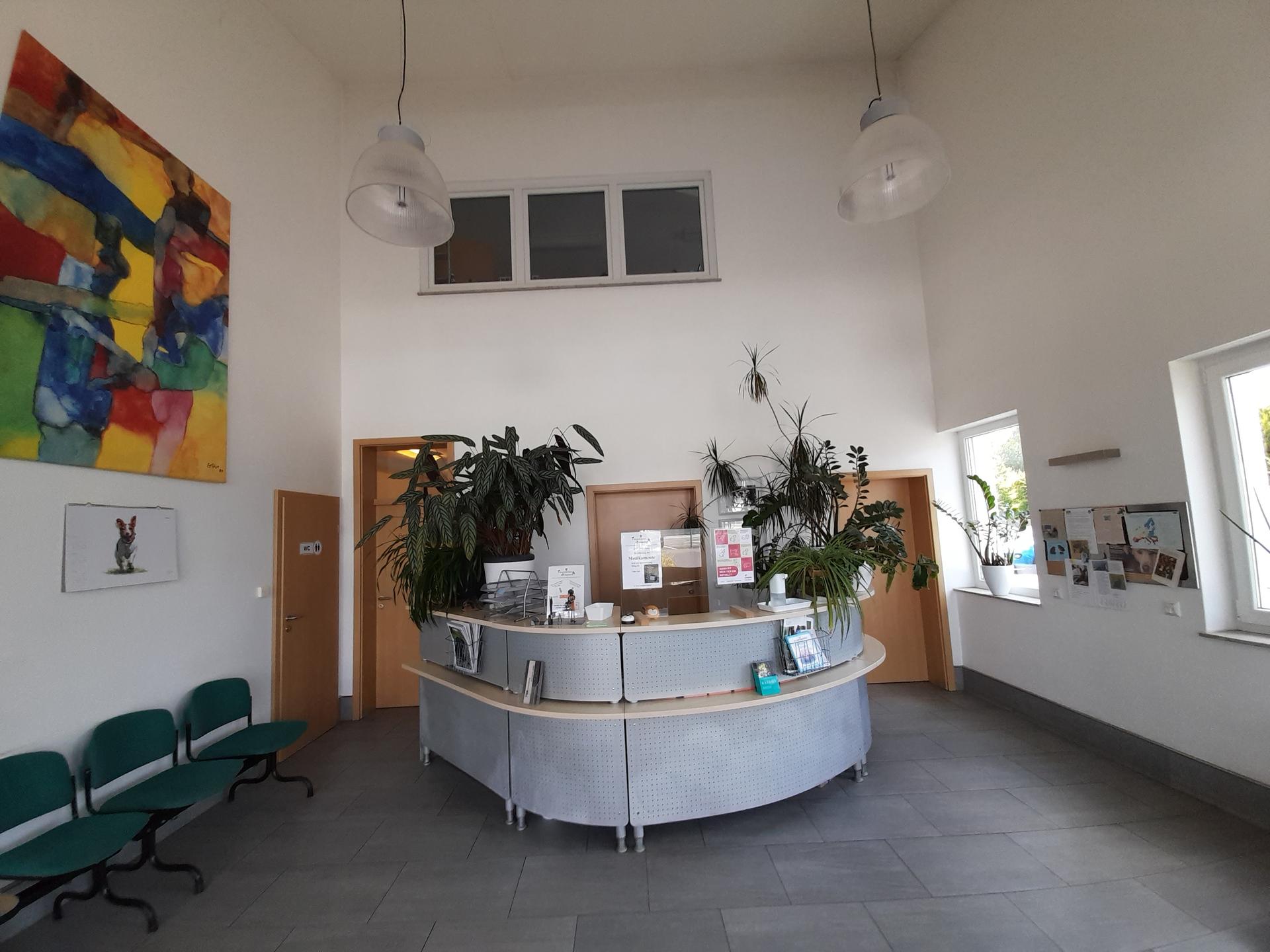 View 1 of Tierarztpraxis Krieglstein - Leslie Krieglstein