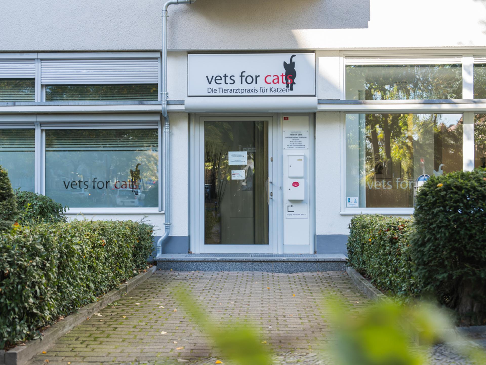 View 3 of Tierarzt Berlin, vets for cats Berlin - Tierarztpraxis für Katzen