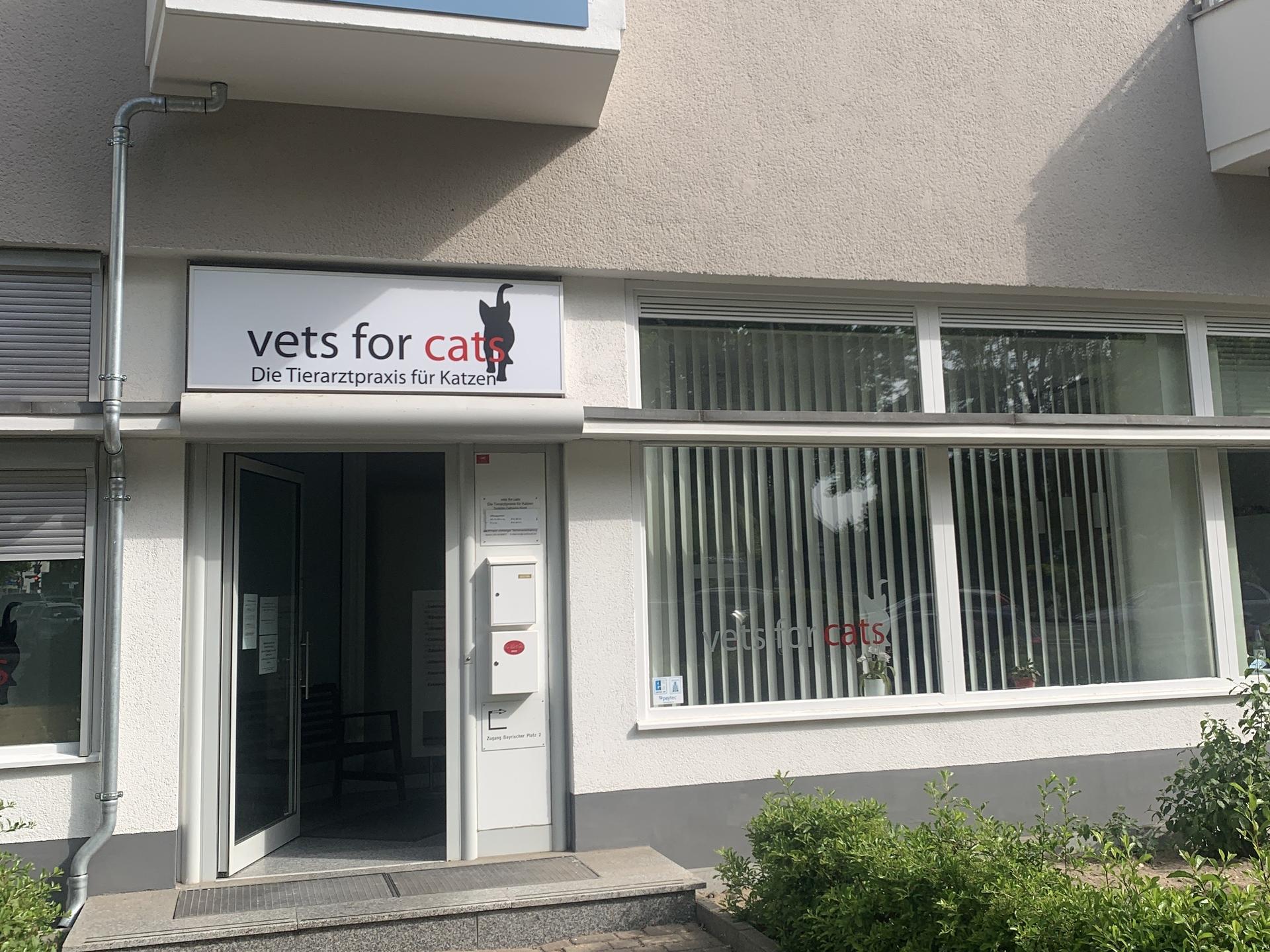 View 4 of Tierarzt Berlin, vets for cats Berlin - Tierarztpraxis für Katzen