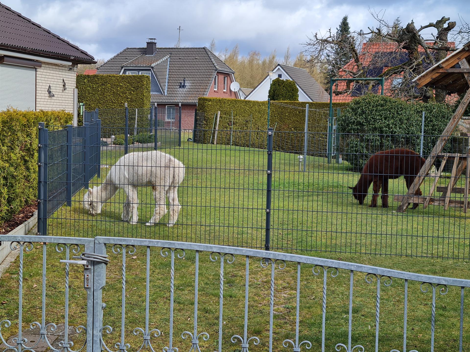 Ansicht 1 von Dagmar Thüring Tierärztin
