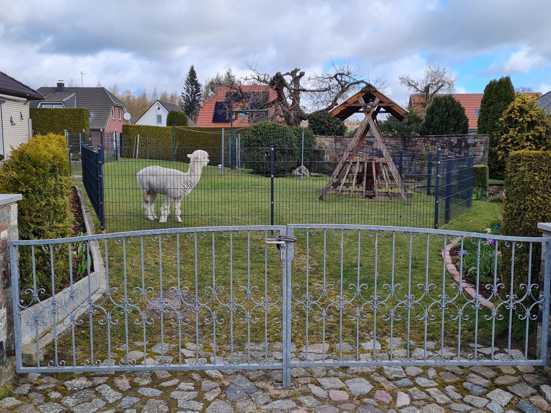 Ansicht 2 von Dagmar Thüring Tierärztin