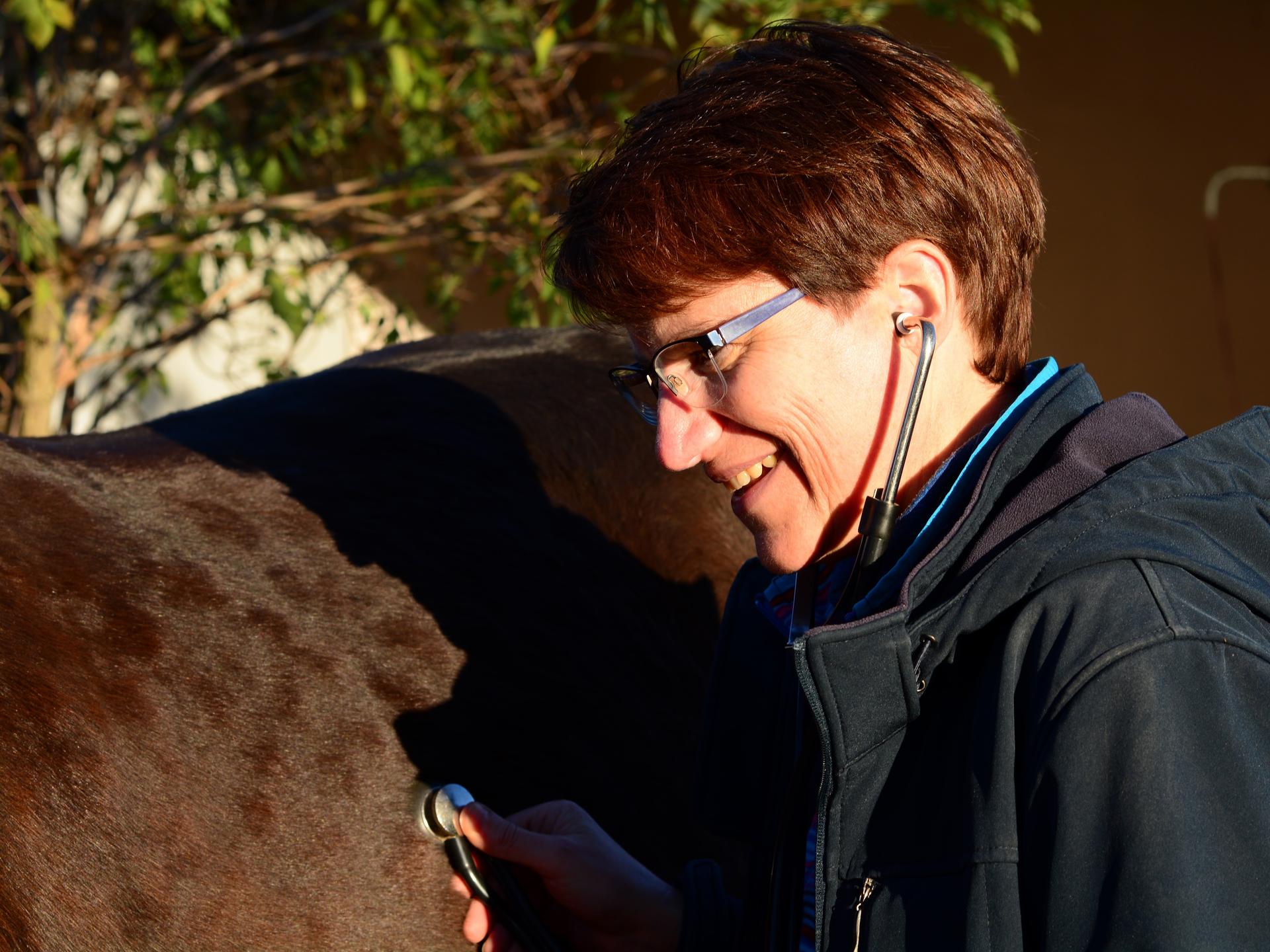 View 1 of Tierarztpraxis Dr. Maren Franke