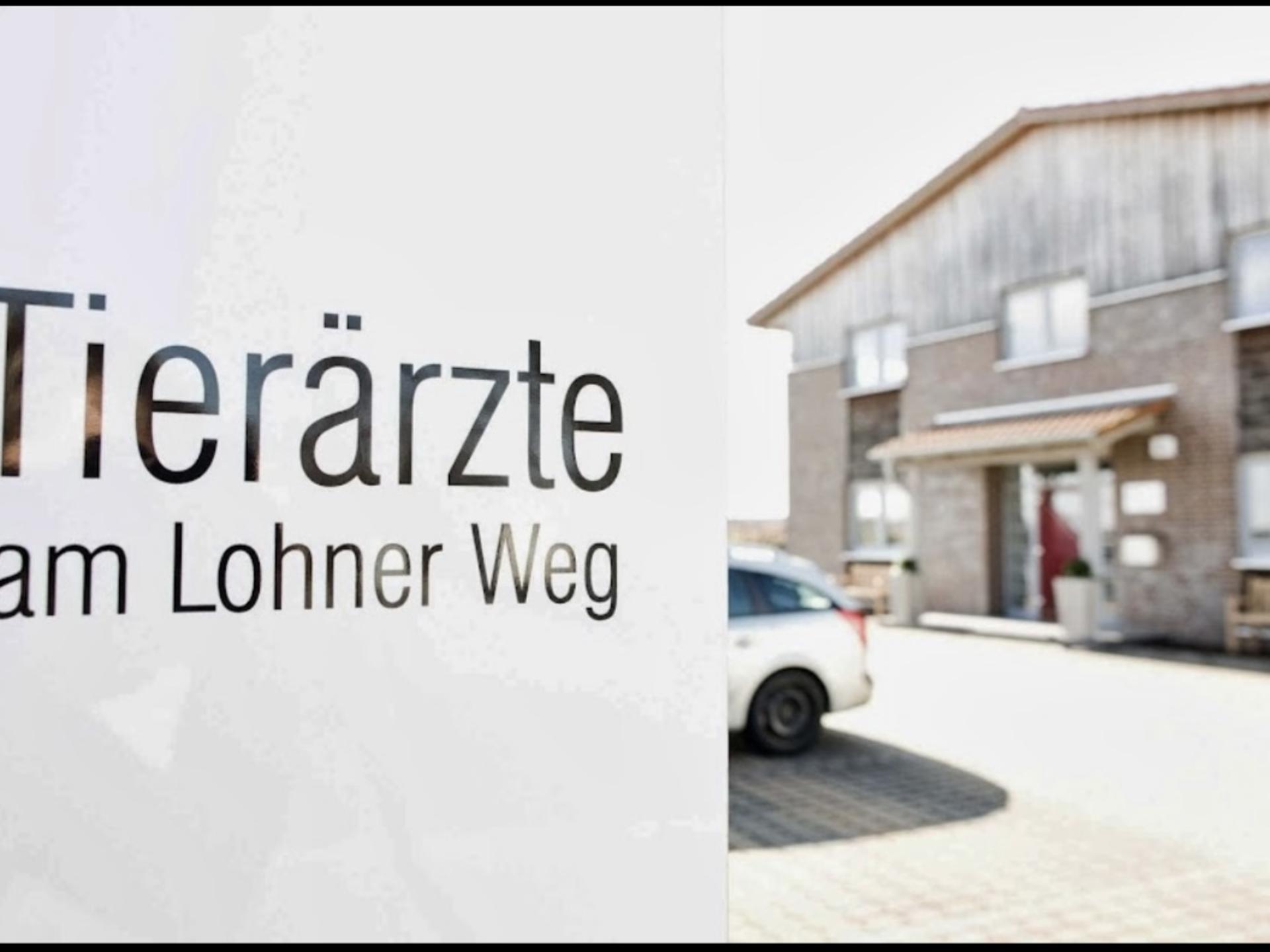 Ansicht 1 von Ihre Tierärzte am Lohner Weg | Fachtierärztliche Praxis für Kleintiere