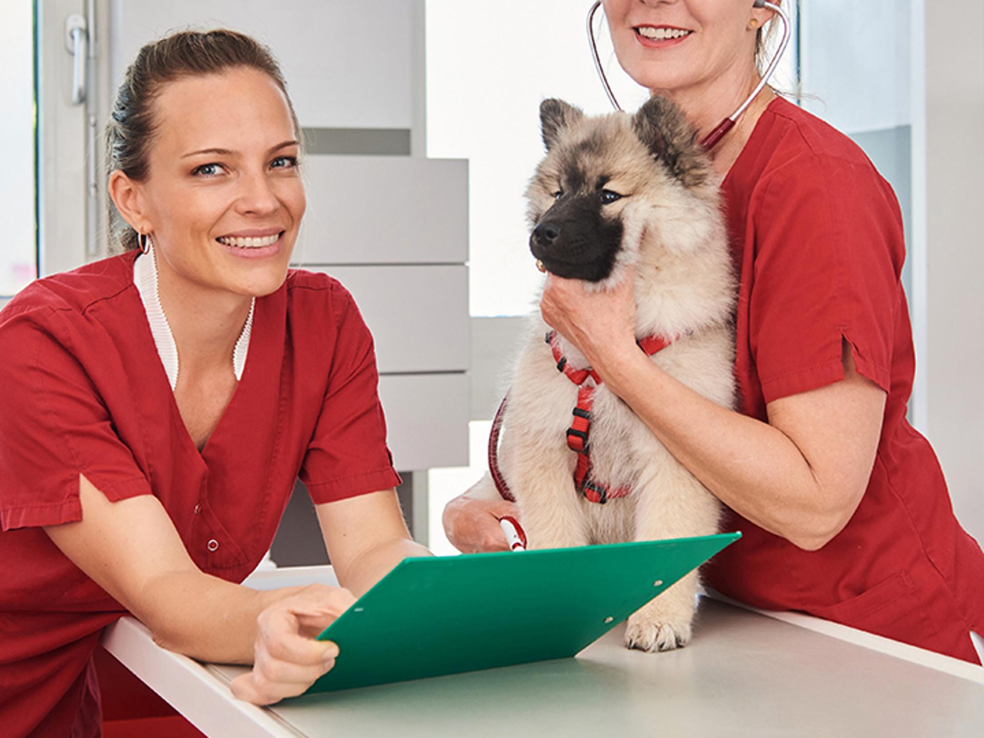 Ansicht 1 von Tierärzte-Team Dreieich GmbH