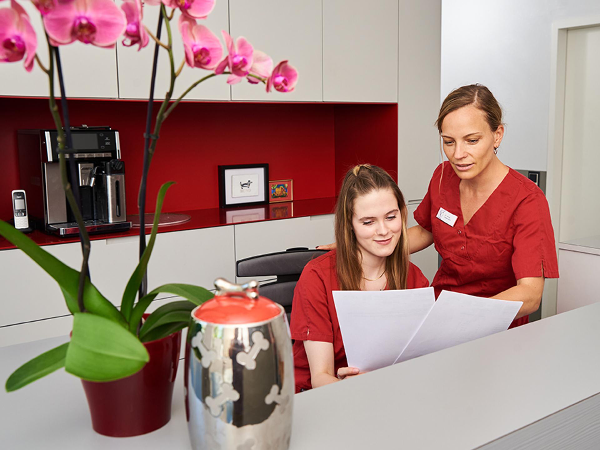 Ansicht 2 von Tierärzte-Team Dreieich GmbH