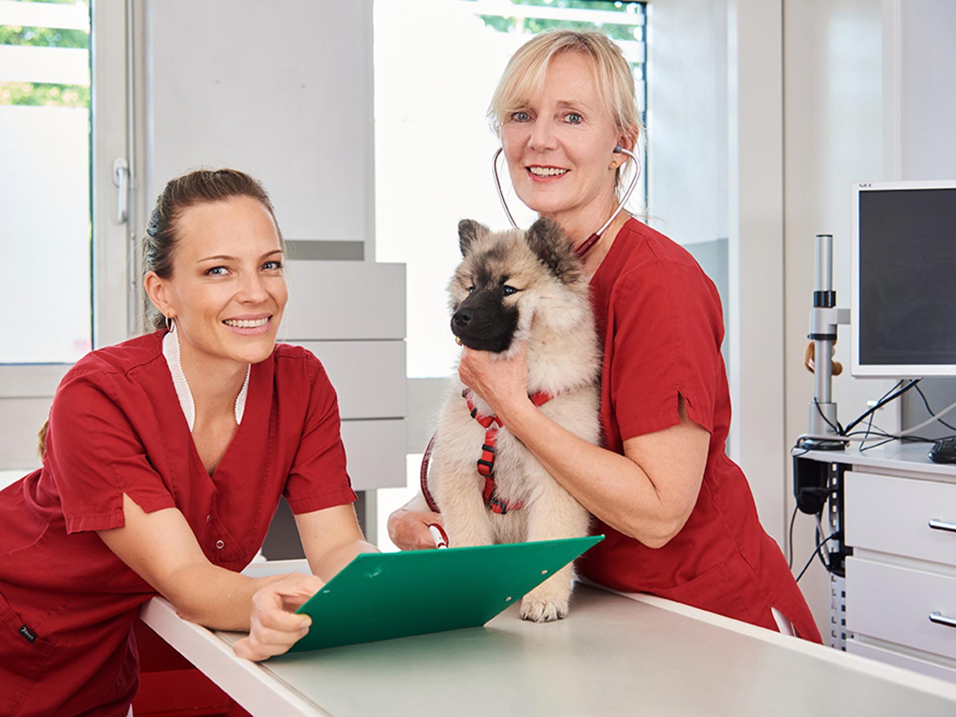 Ansicht 4 von Tierärzte-Team Dreieich GmbH