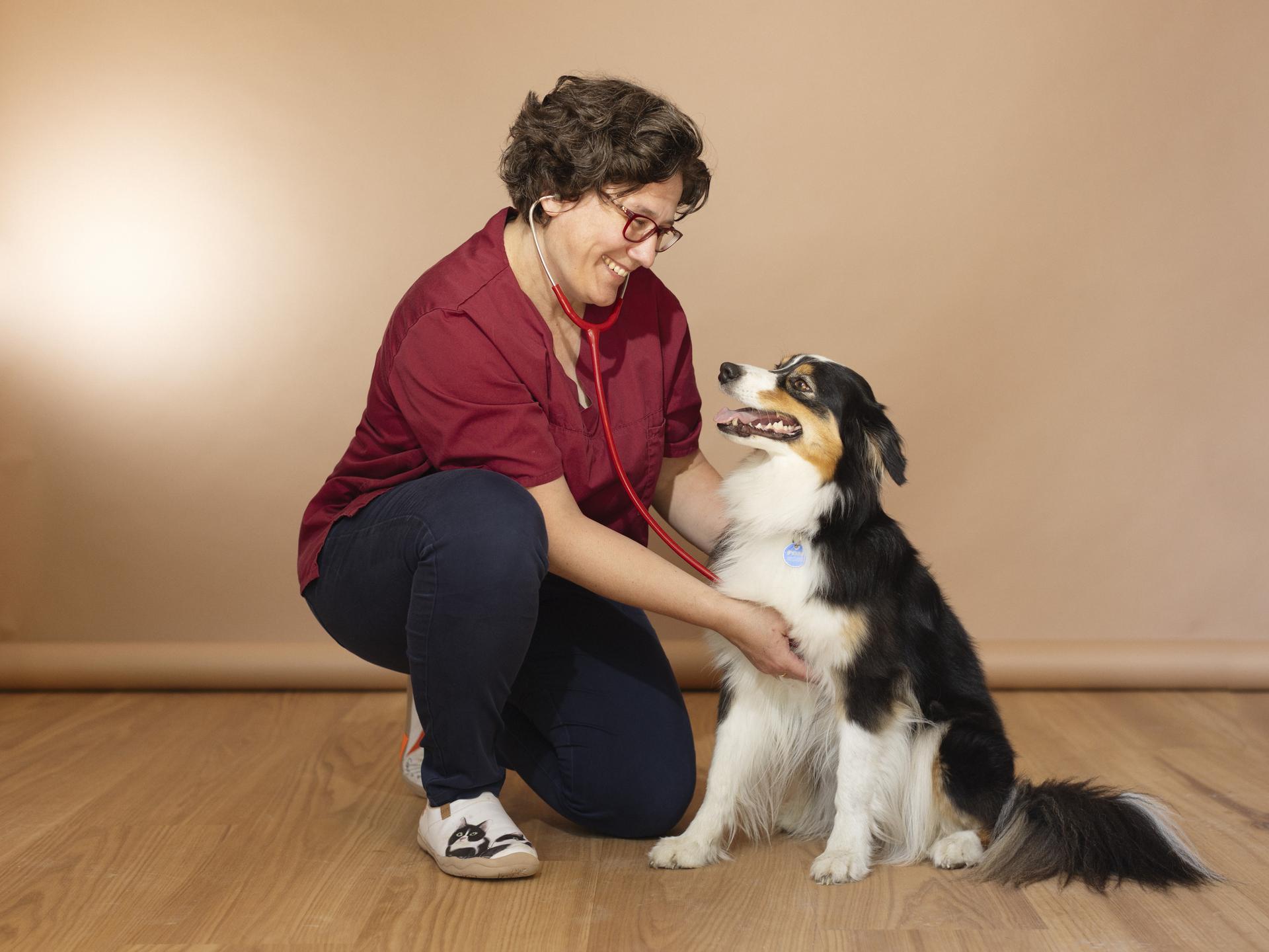 Ansicht 1 von Tierarztpraxis Dr. Diana Ruf
