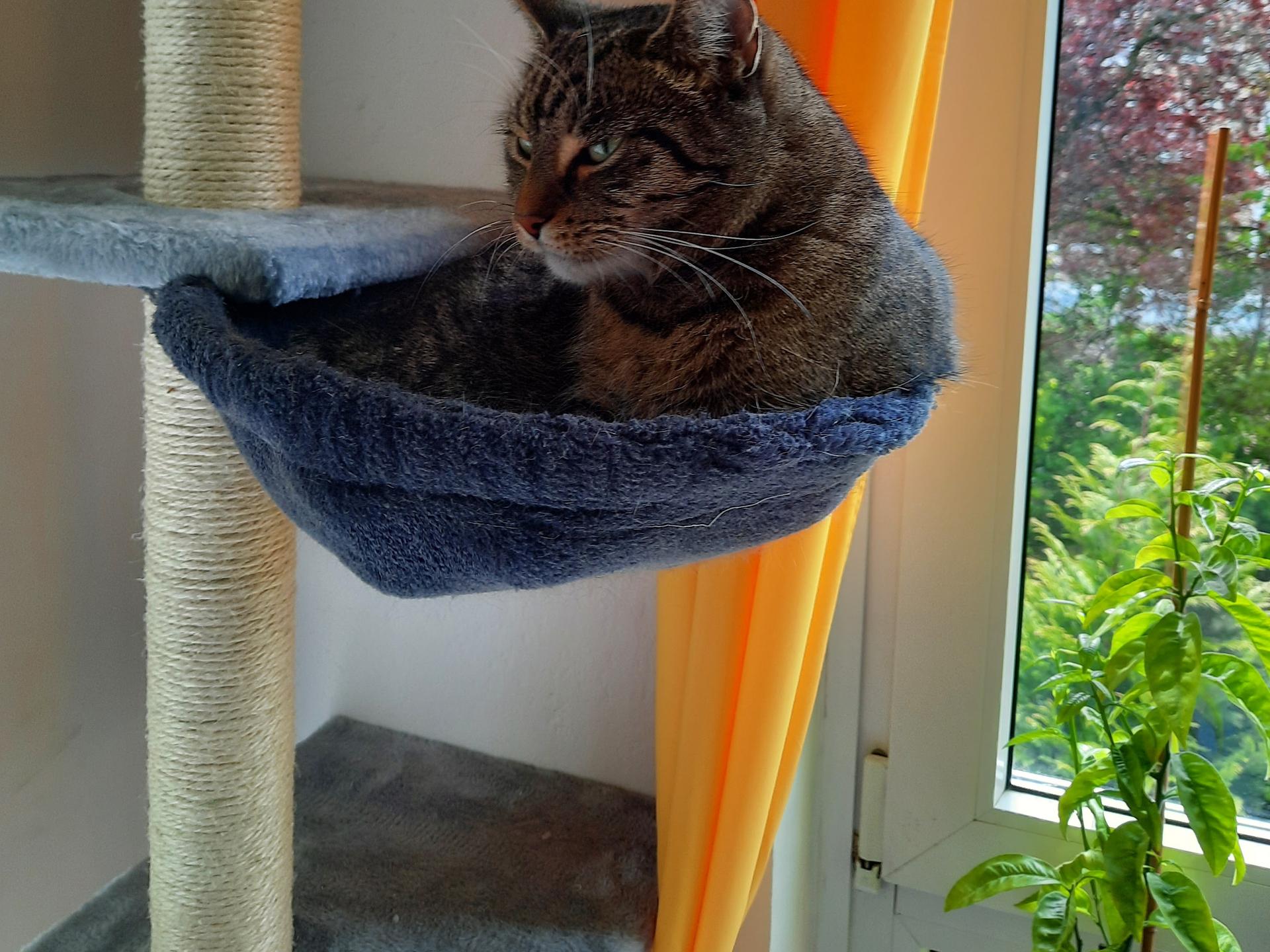 Ansicht 2 von Silke Websky Tierärztin