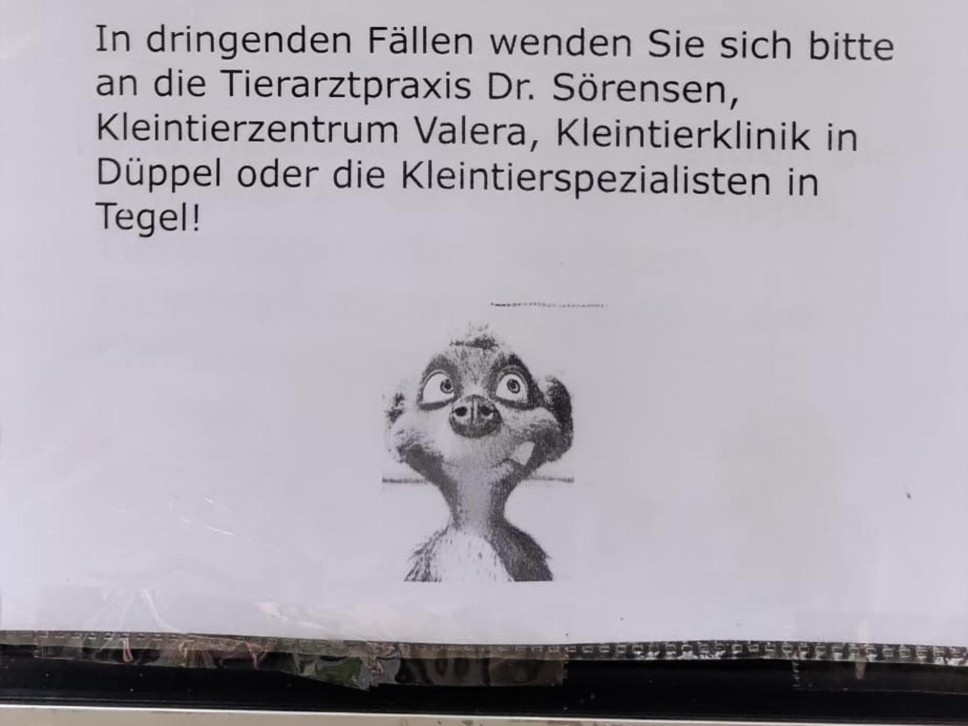 Ansicht 3 von Dr.med.vet. Brigitte Morath Tierärztin