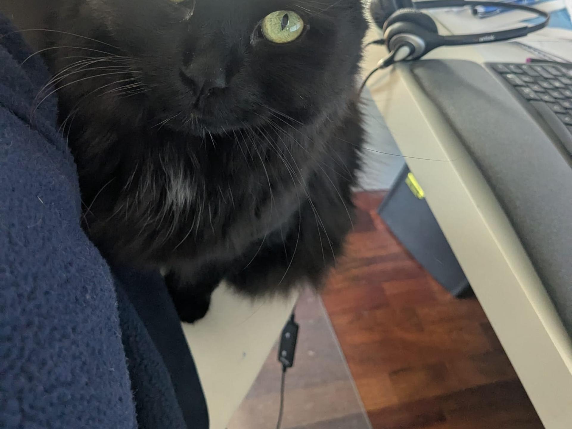 Ansicht 2 von Tierärztliche Klinik Stommeln