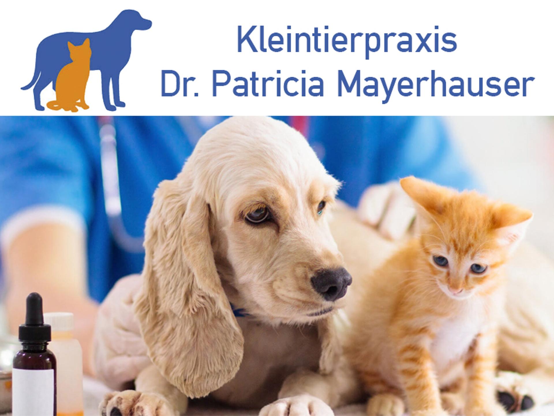 Ansicht 1 von Dr. P. Mayerhauser, Kleintierpraxis im Gewerbehof Unterfeldweg
