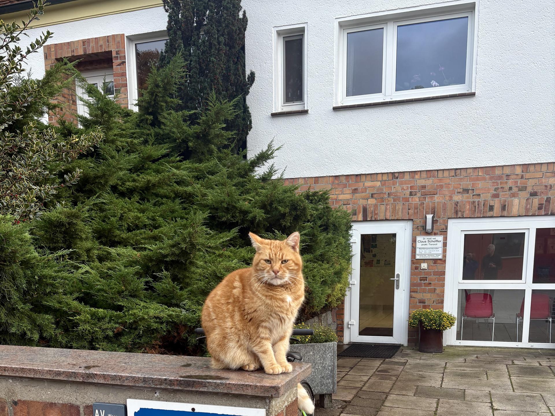Ansicht 1 von Tierarzt Dr. Scheffler