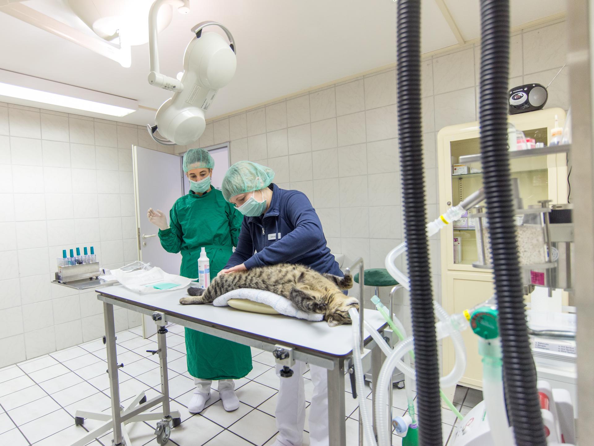 Ansicht 2 von Tierklinik Ganal und Ewert