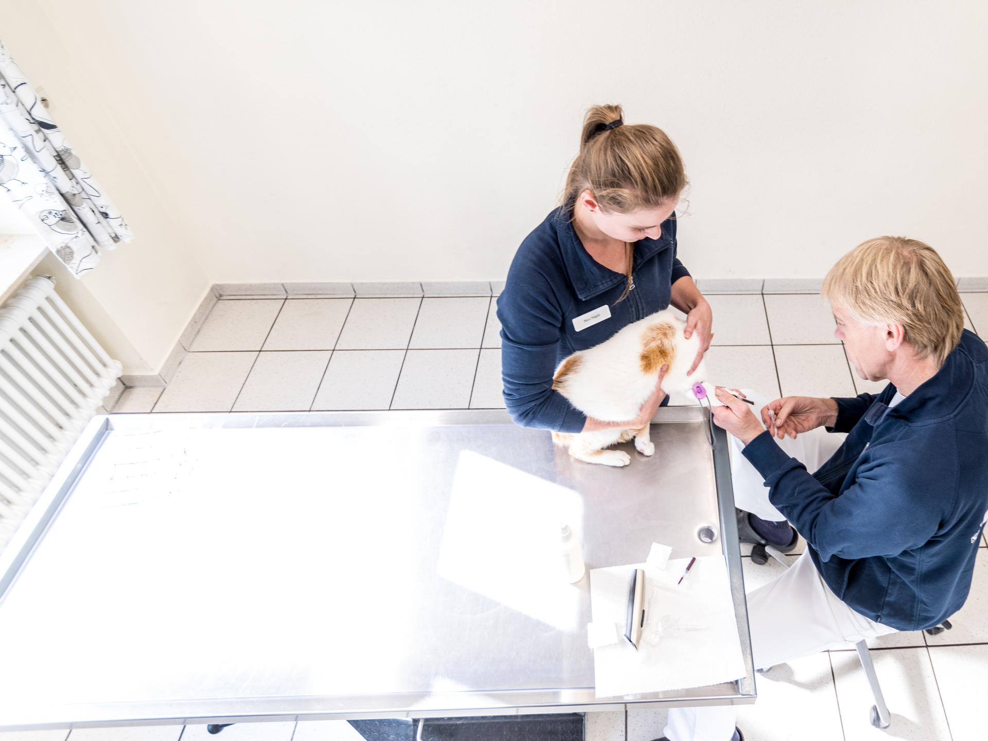 Ansicht 3 von Tierklinik Ganal und Ewert