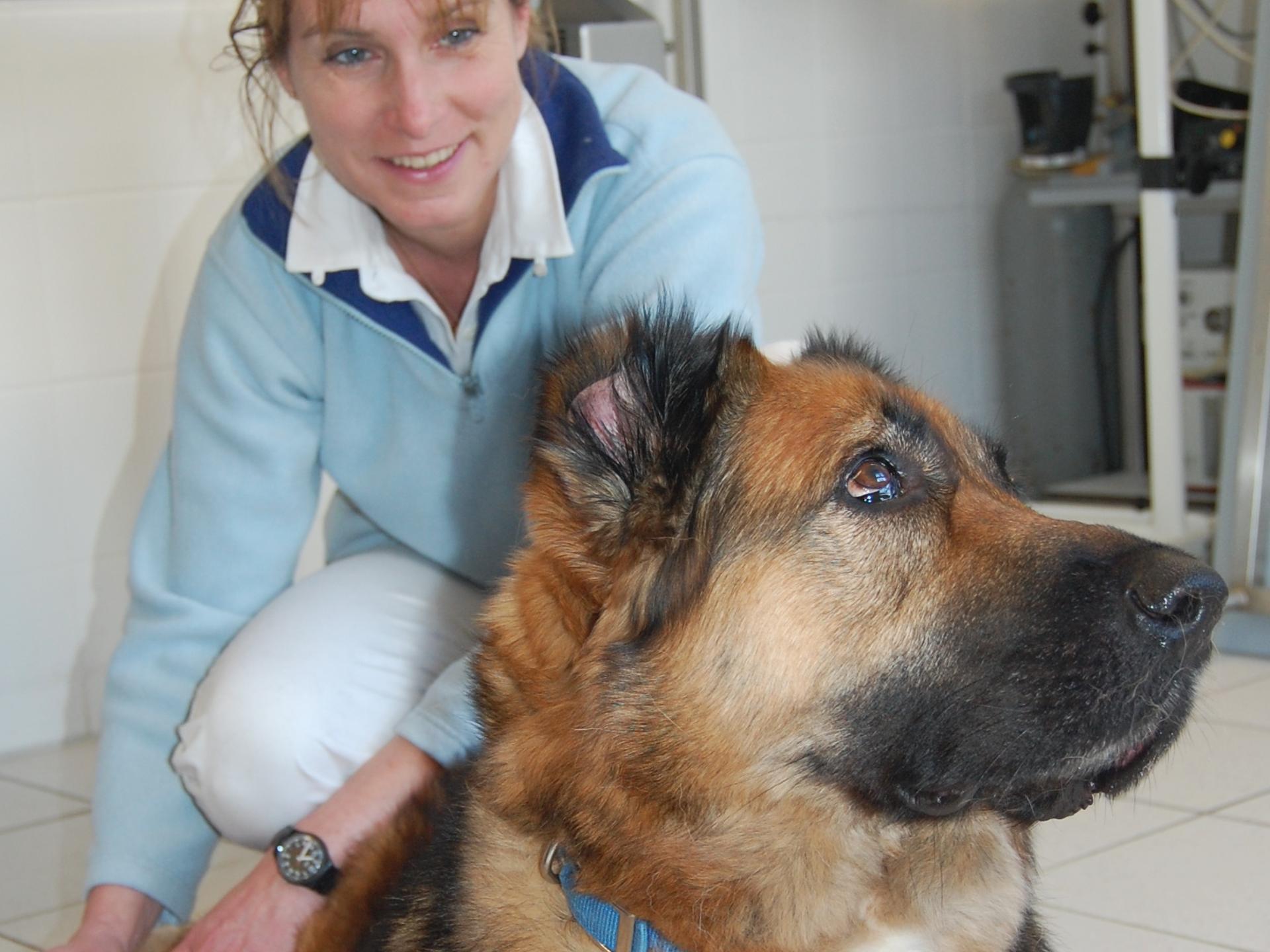 Ansicht 4 von Dr.med.vet. Gabriela Bleßmann, ganzheitliche Tierarztpraxis