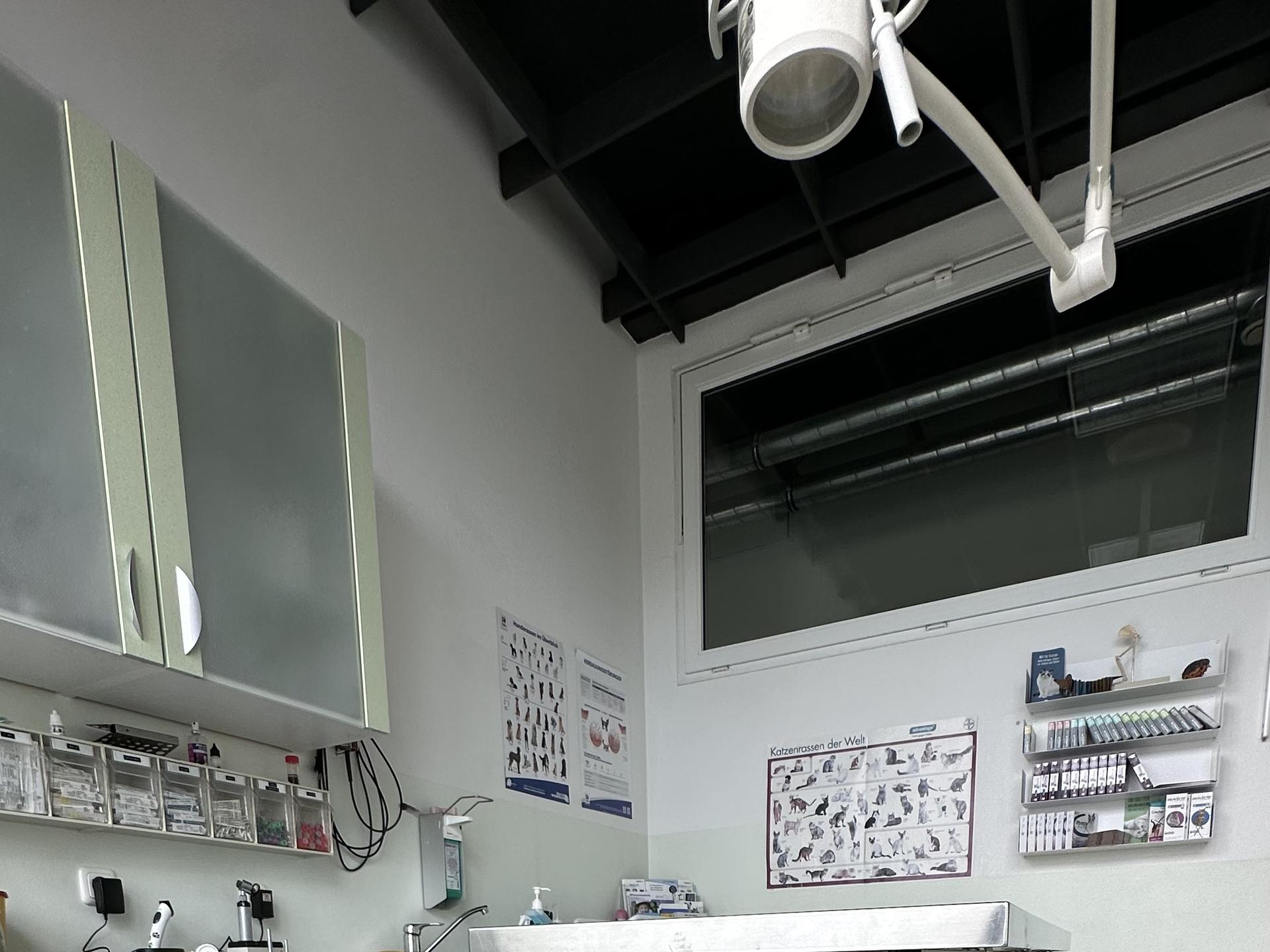 Ansicht 2 von Gesundheitszentrum für Kleintiere Passau GmbH